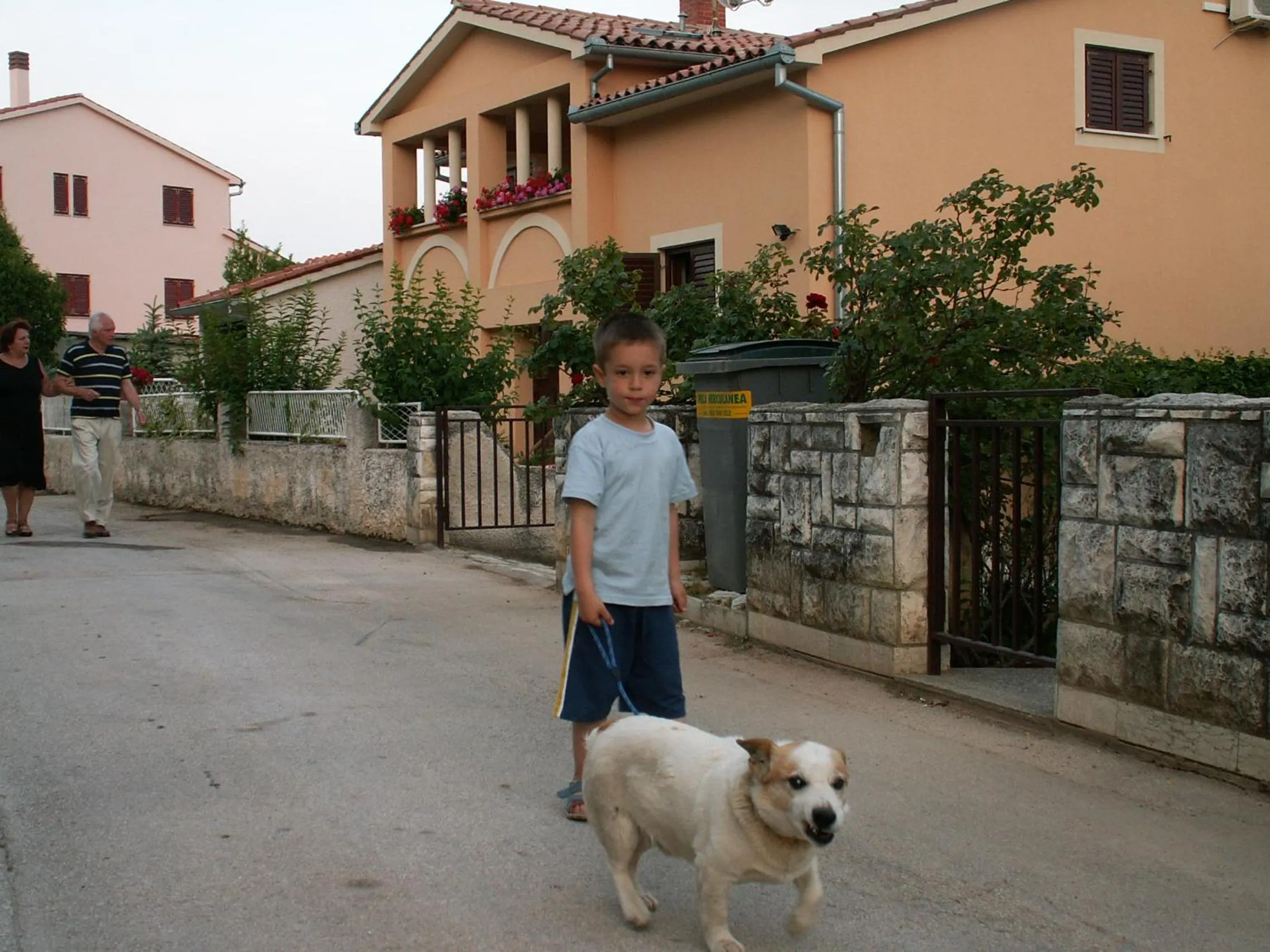 Pets in Apartments Villa Bartol
