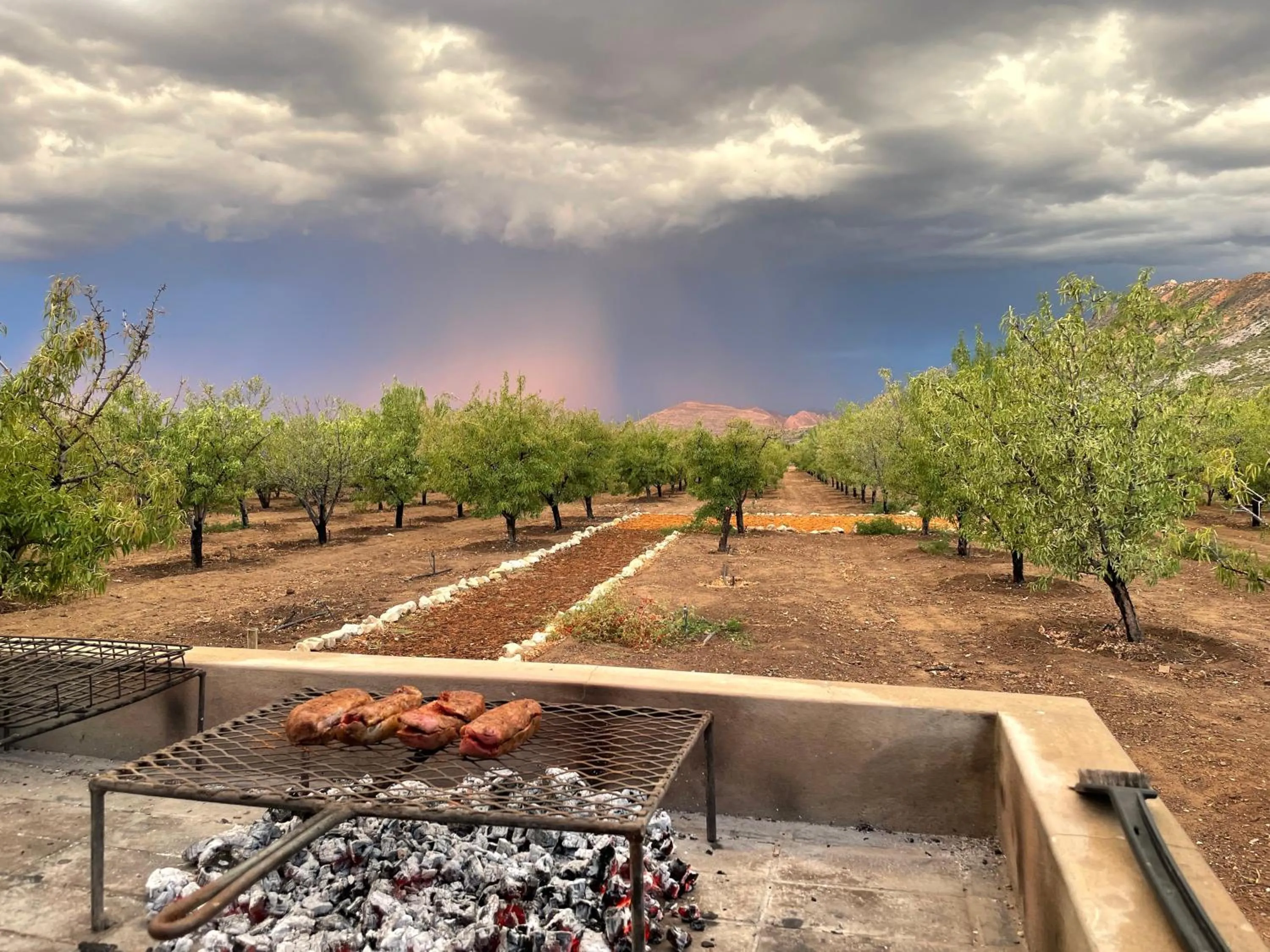 BBQ facilities in Yellow House Prince Albert