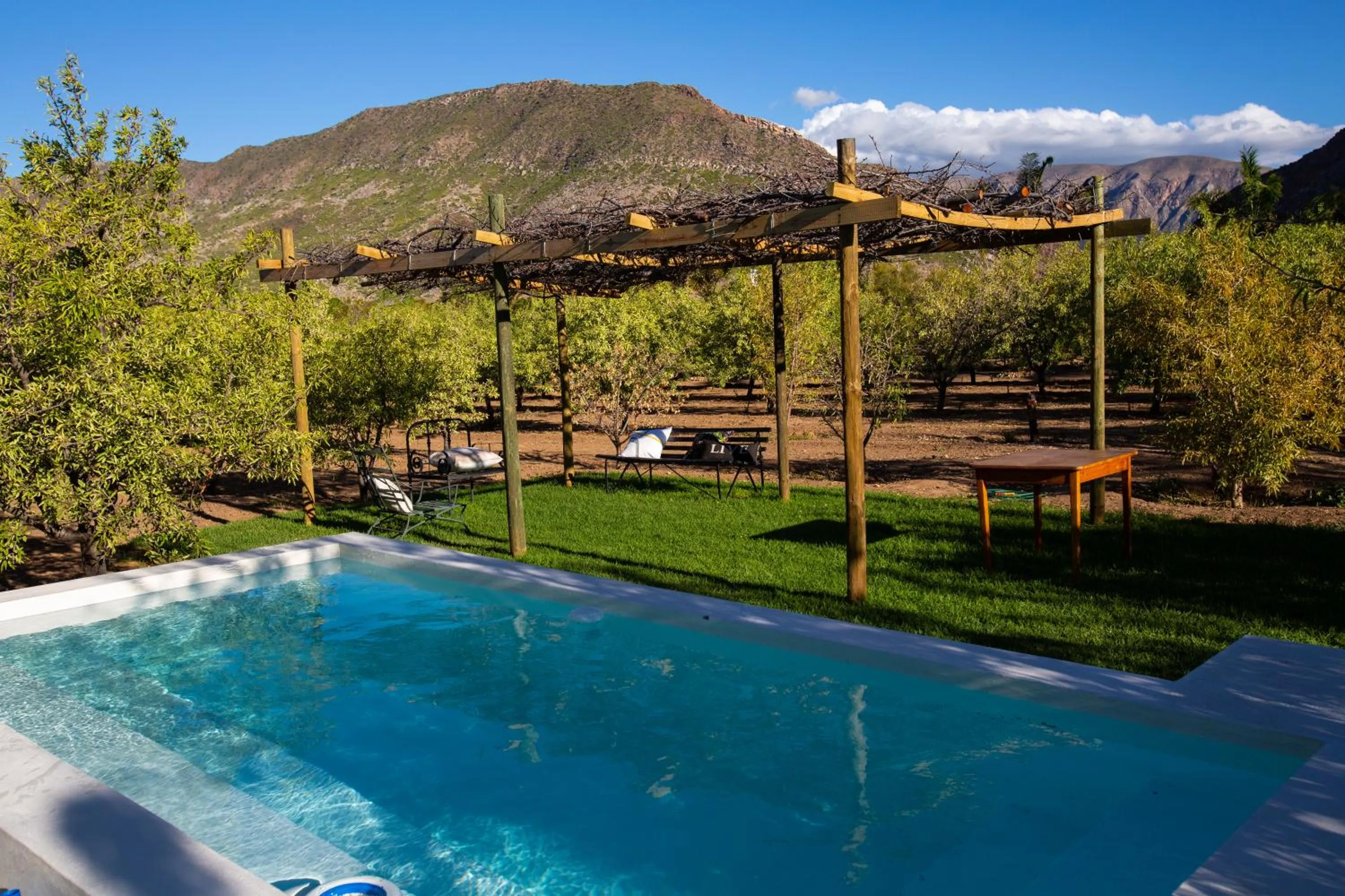 Swimming pool in Yellow House Prince Albert