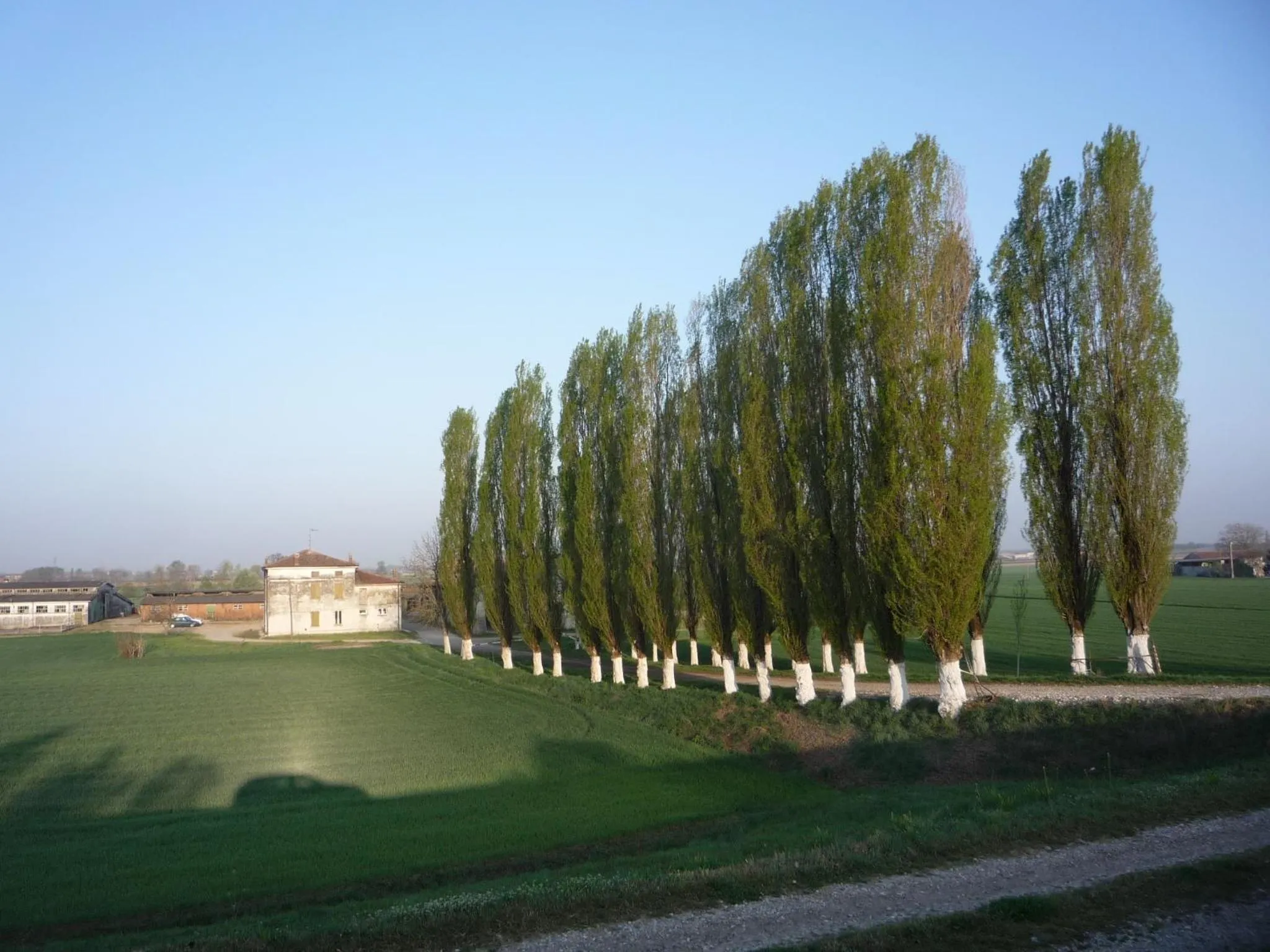 Location in Terminus