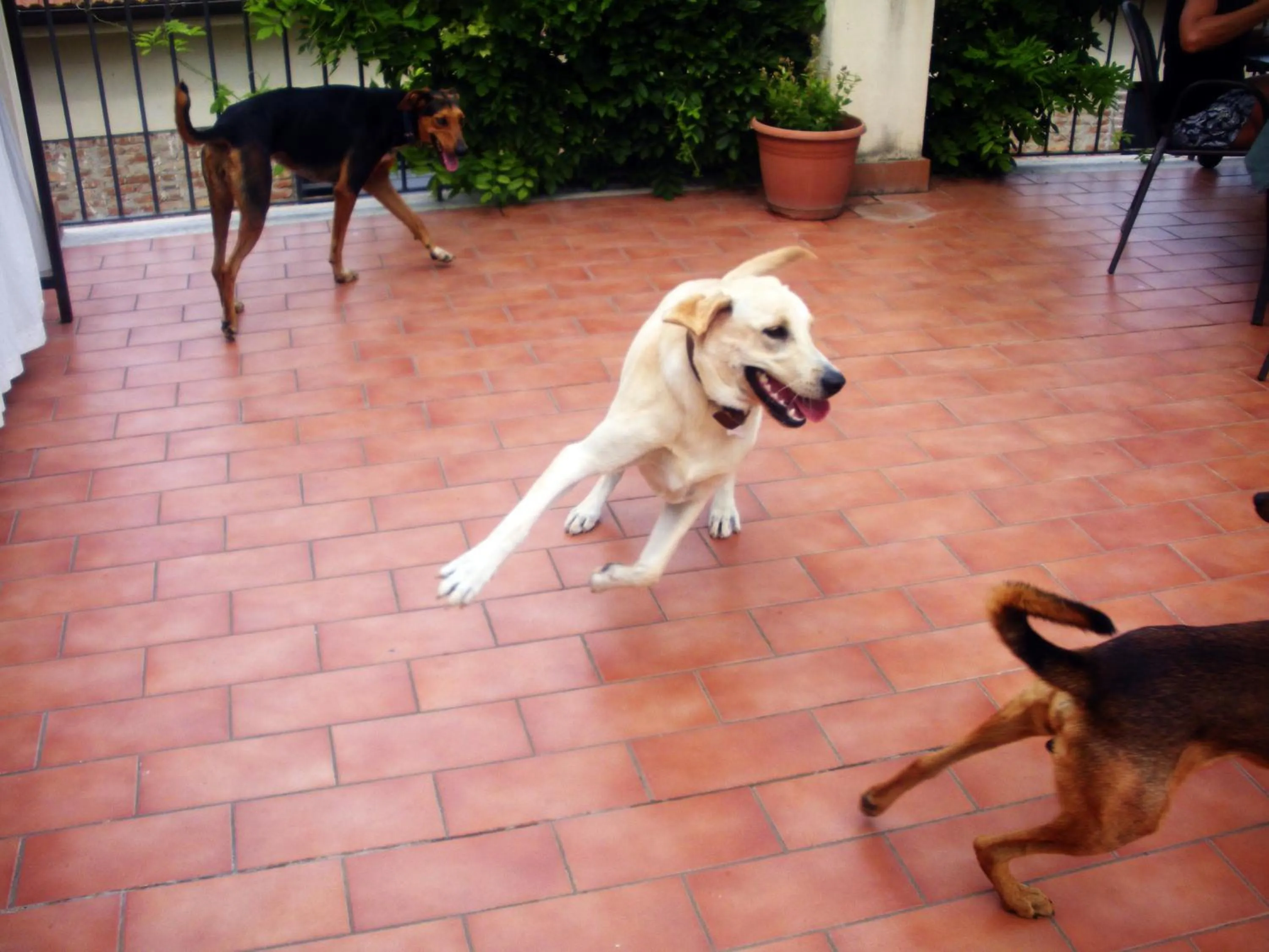 Balcony/Terrace in Casa del Geco