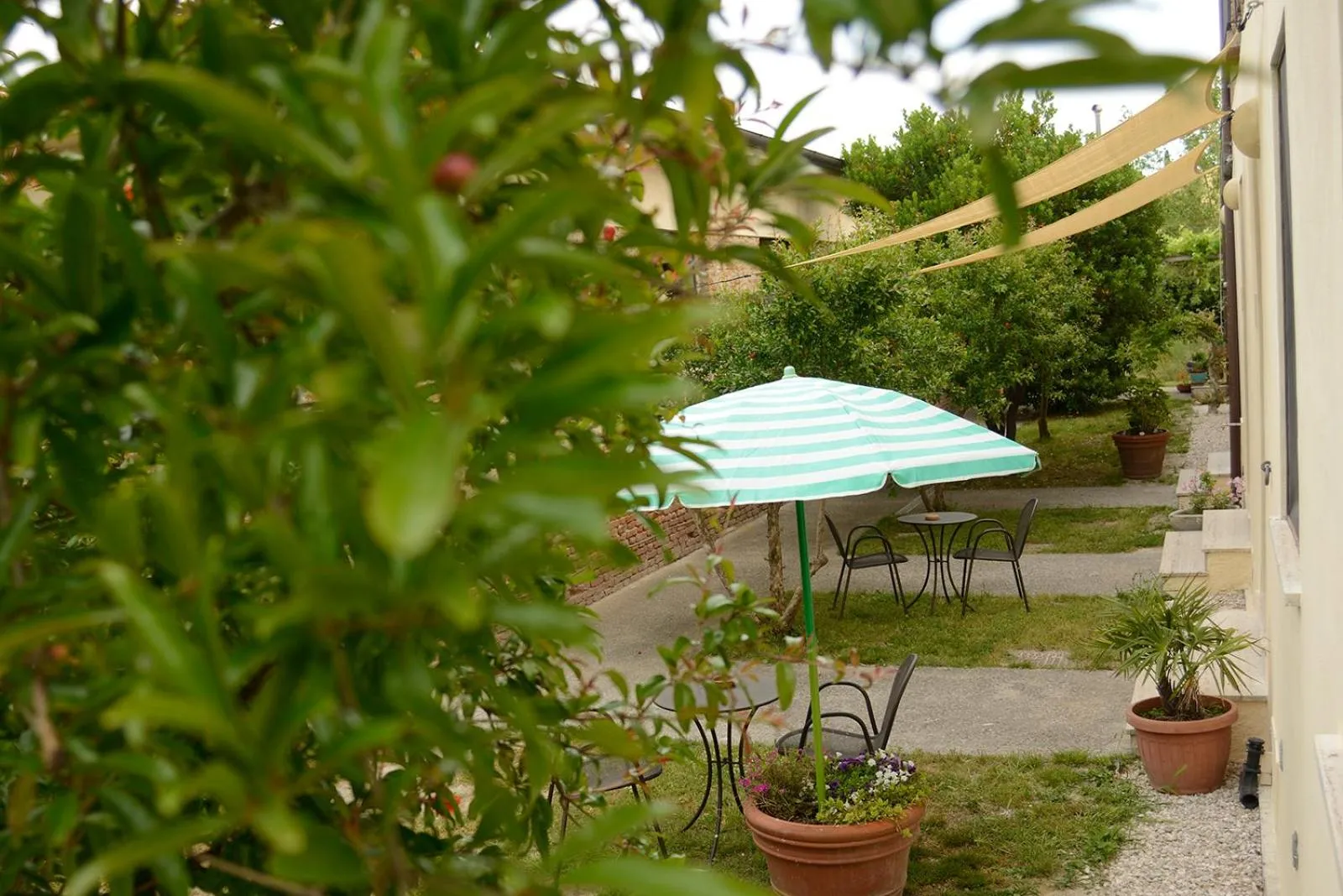 Garden in Casa del Geco