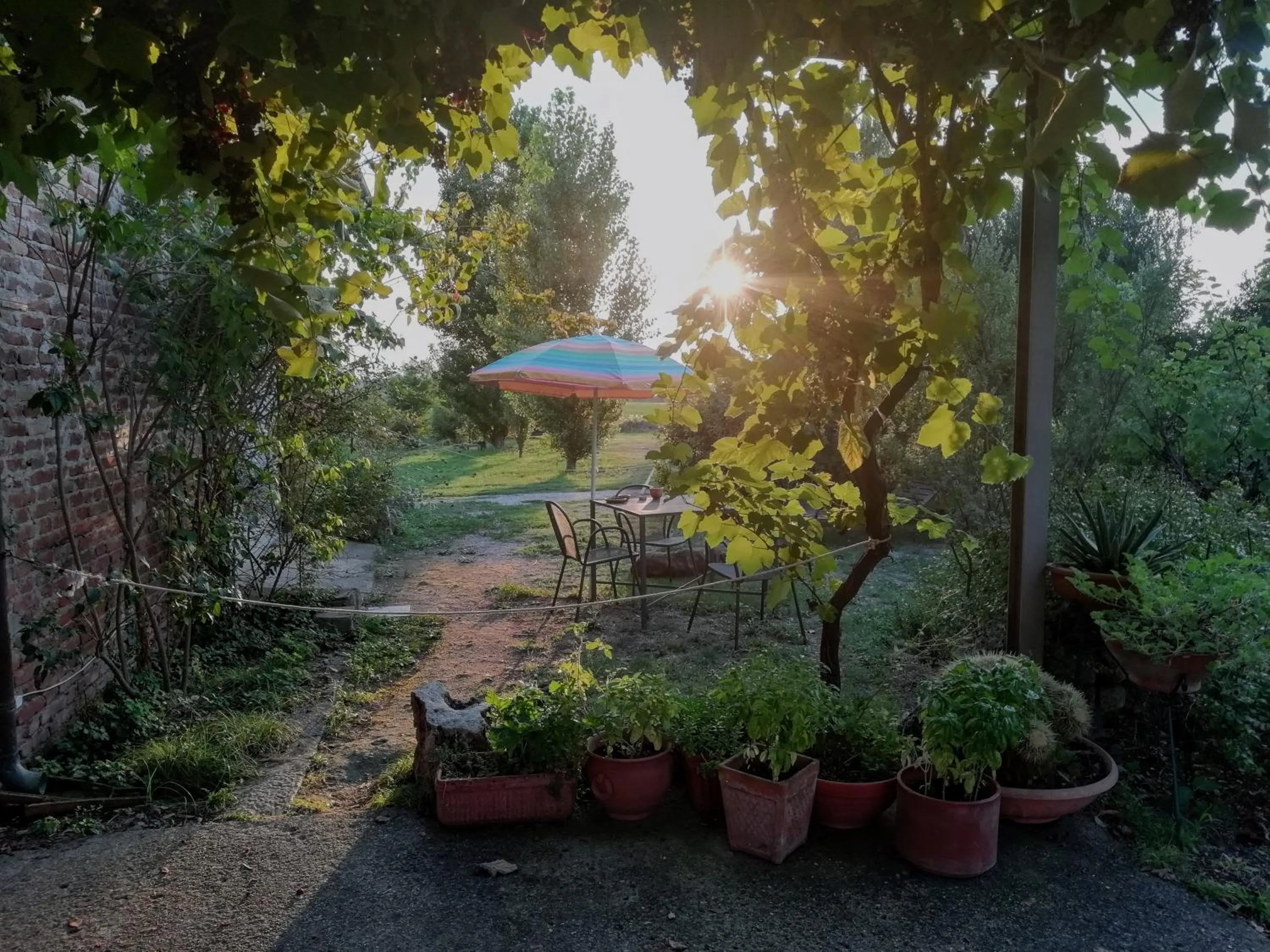 Garden in Casa del Geco