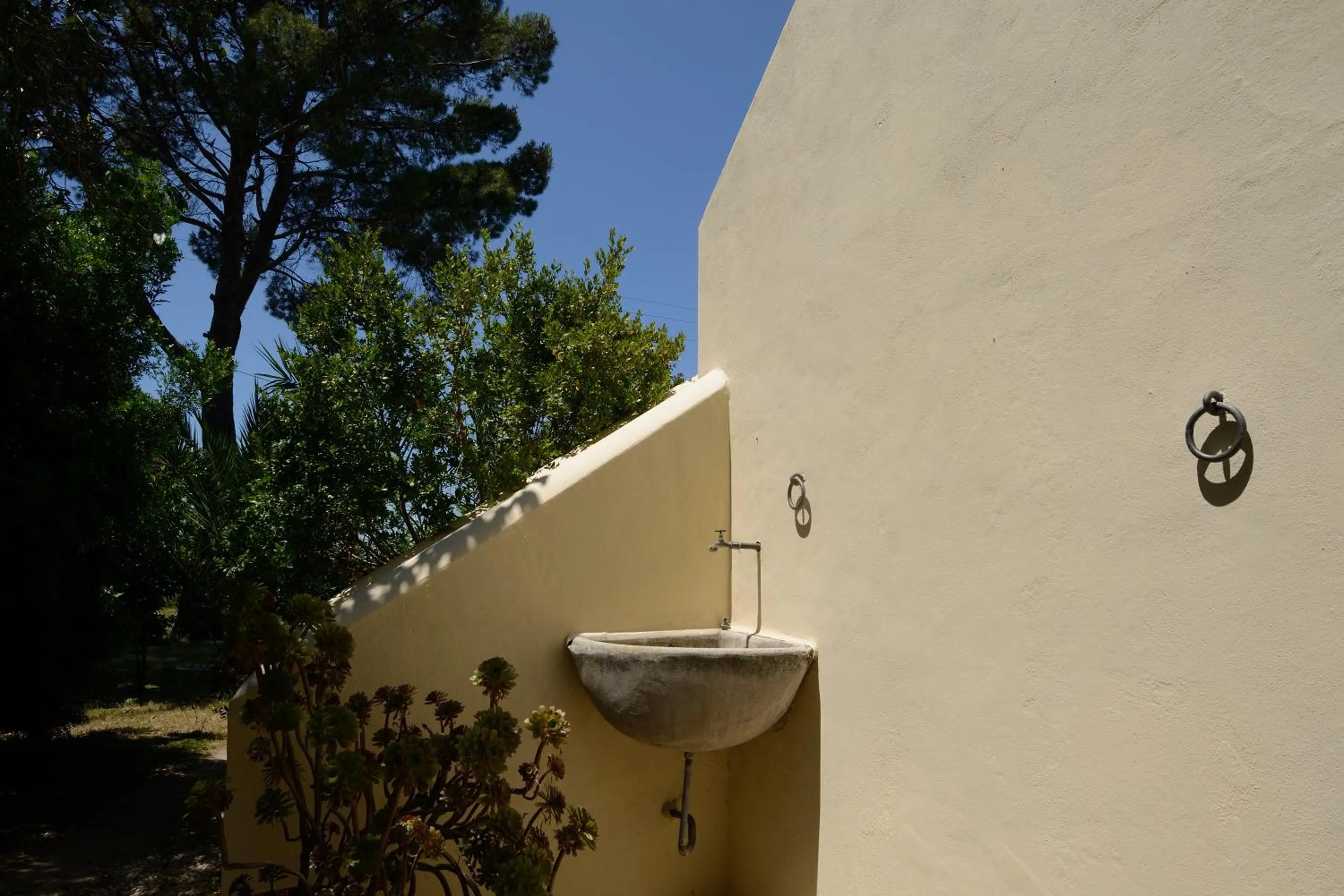 Summer in Casa del Geco