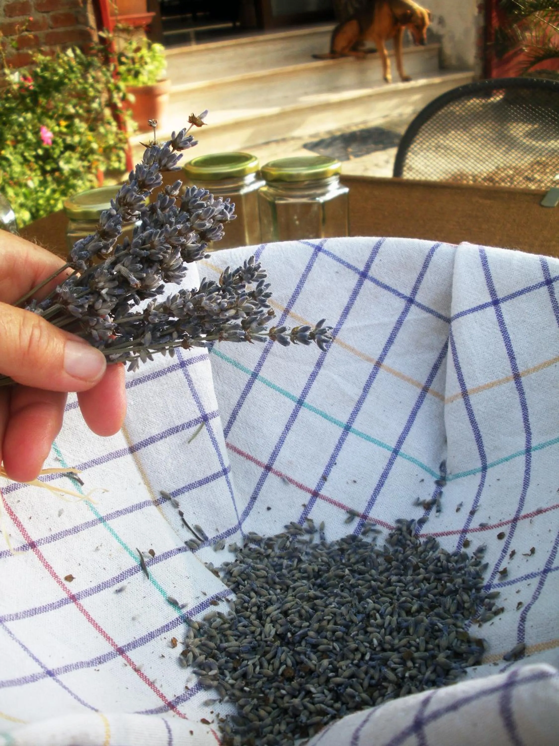 Activities in Casa del Geco