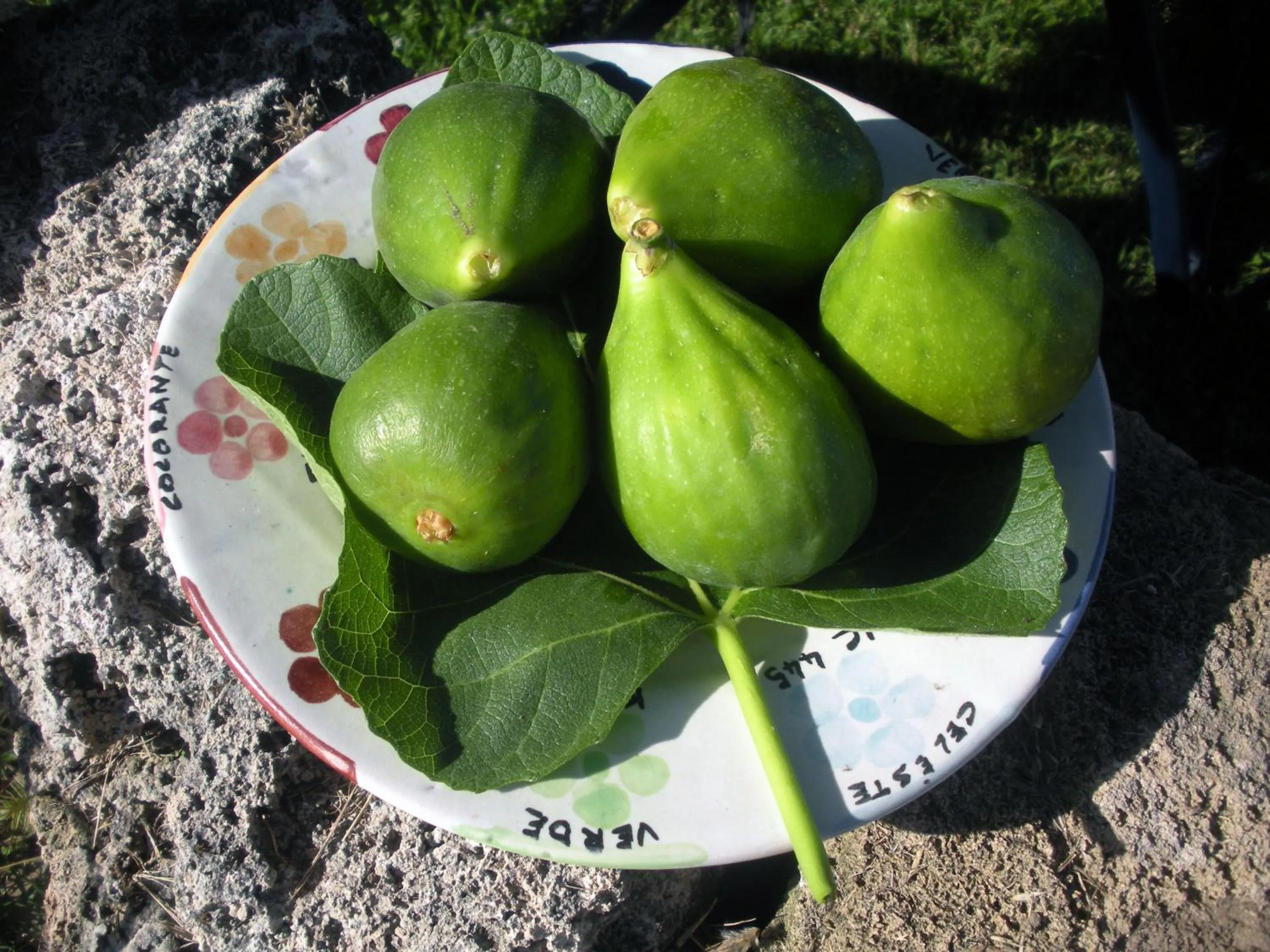 Food in Casa del Geco