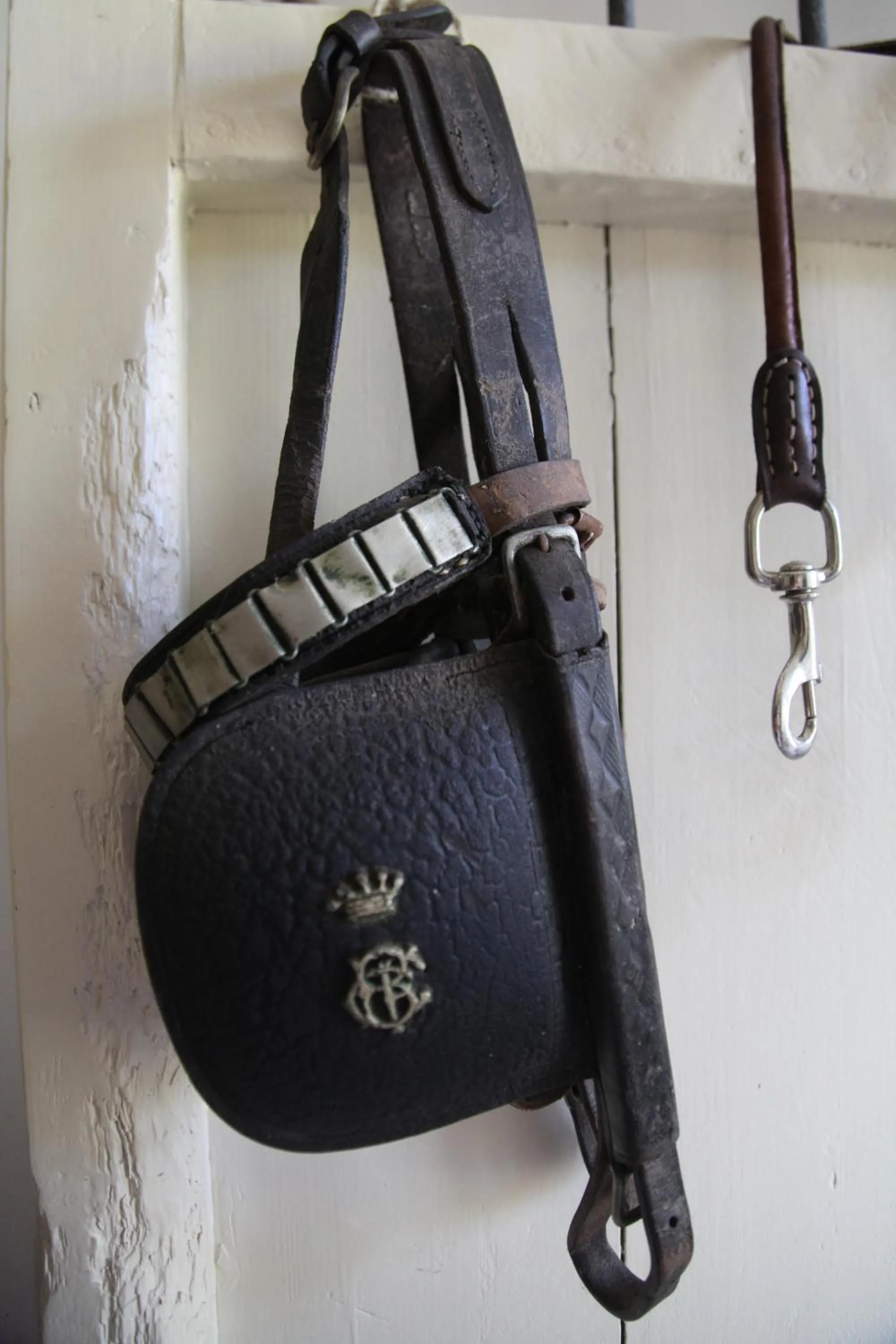 Decorative detail in Casa del Geco