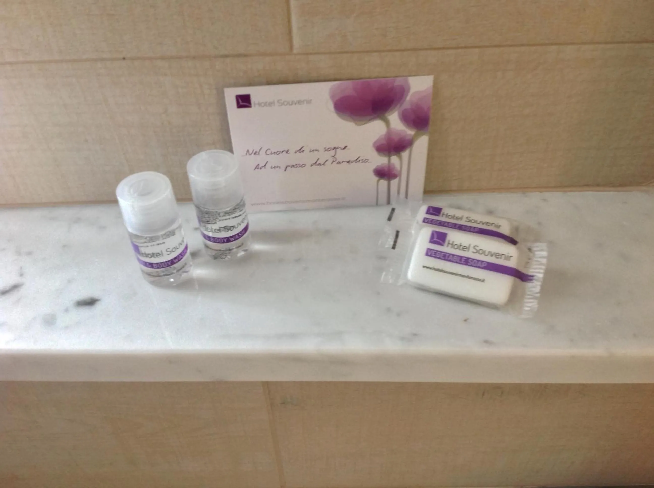 Bathroom in Hotel Souvenir