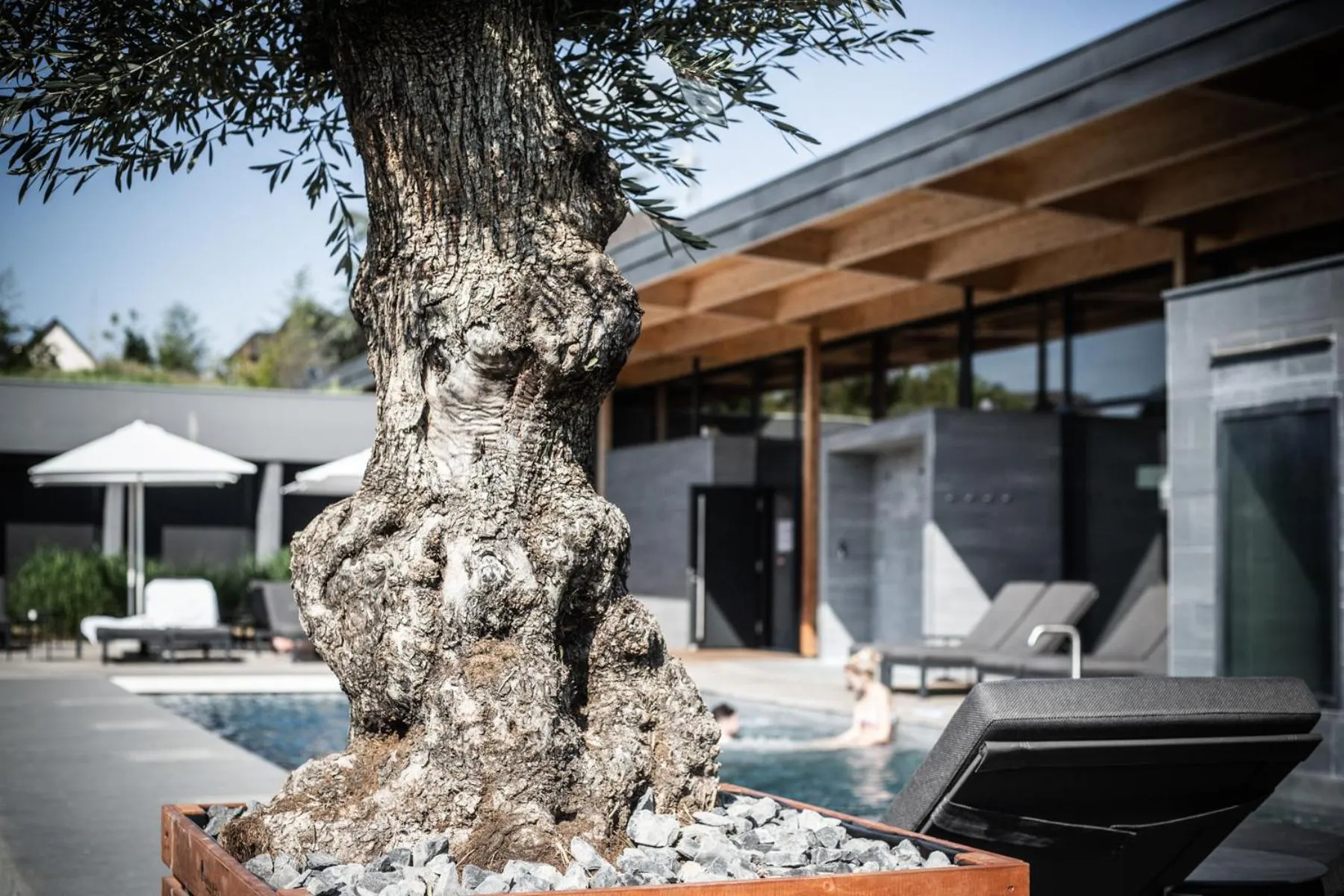 Swimming pool in La Source Des Sens