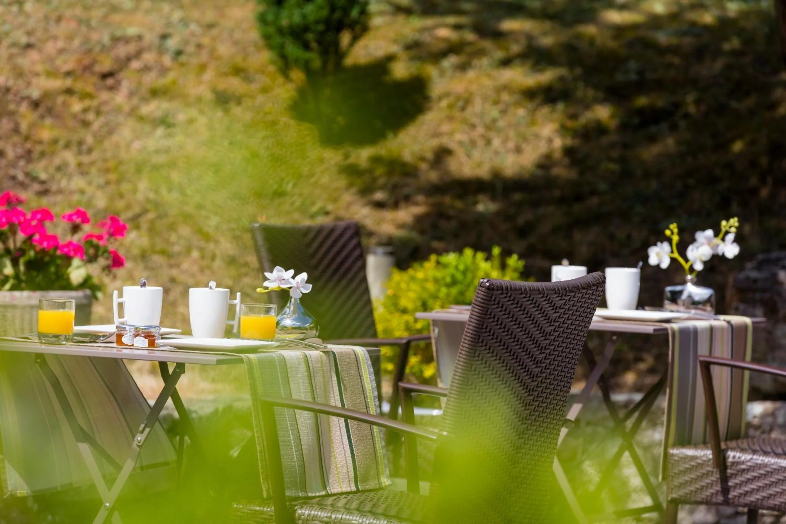 Garden view in Logis La Thomasse