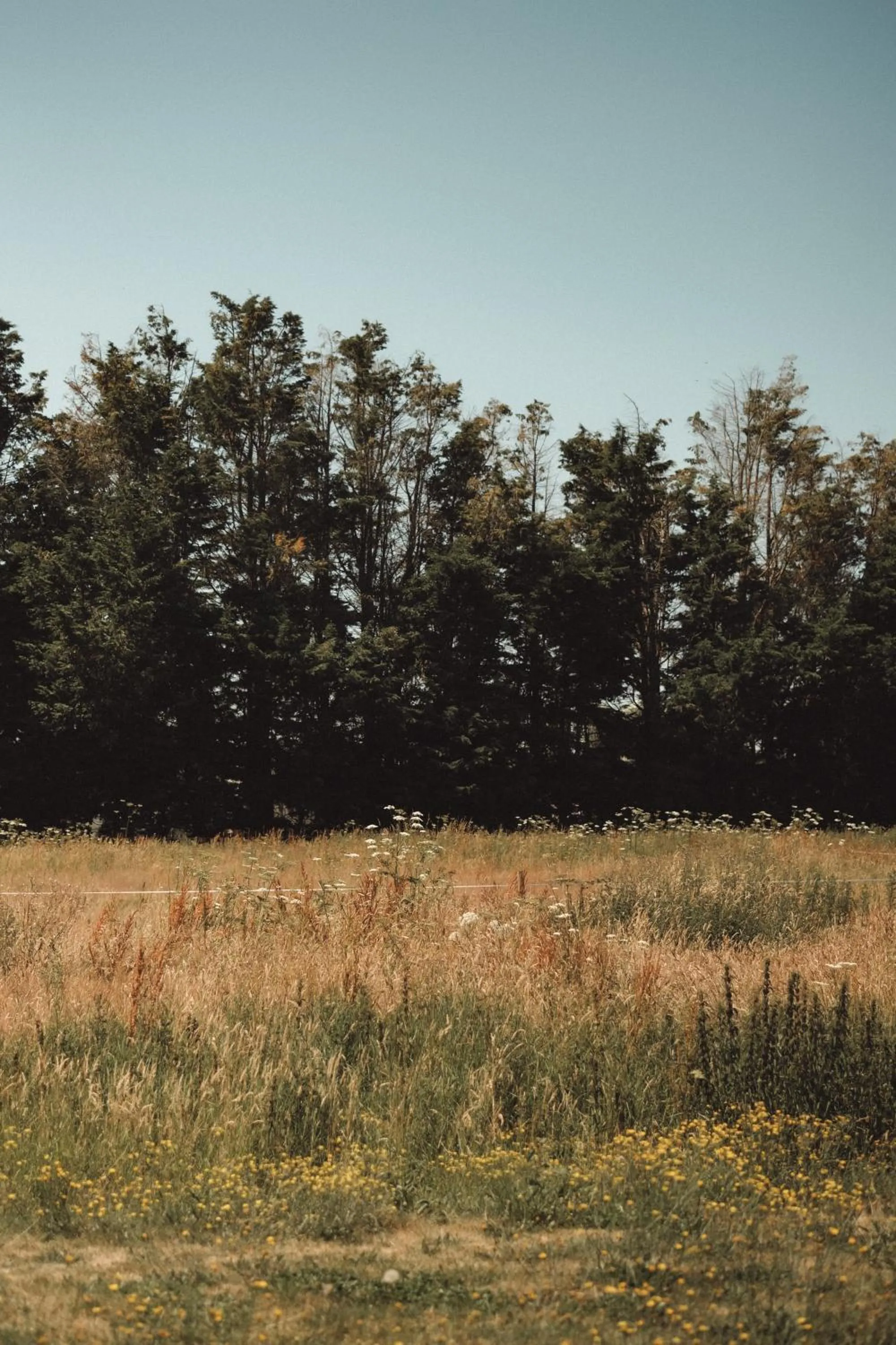 Natural landscape in Hôtel Les Voisins Beaucemaine
