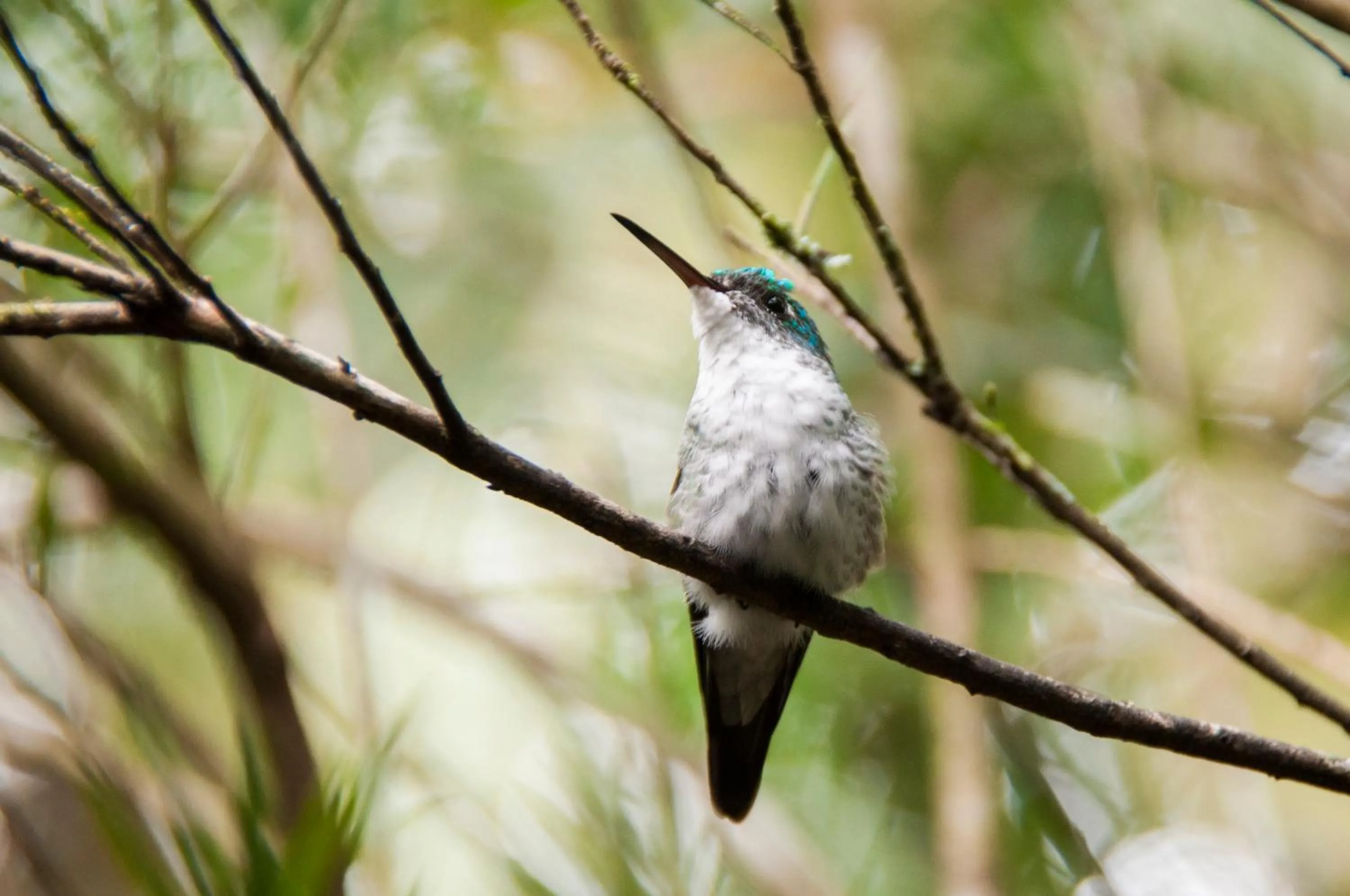 Off site in Casa de Piedra