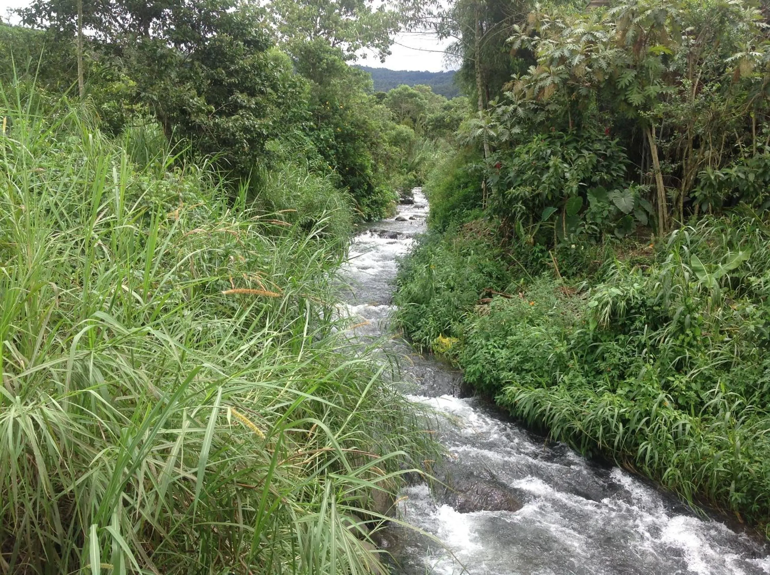 Natural landscape in Casa de Piedra