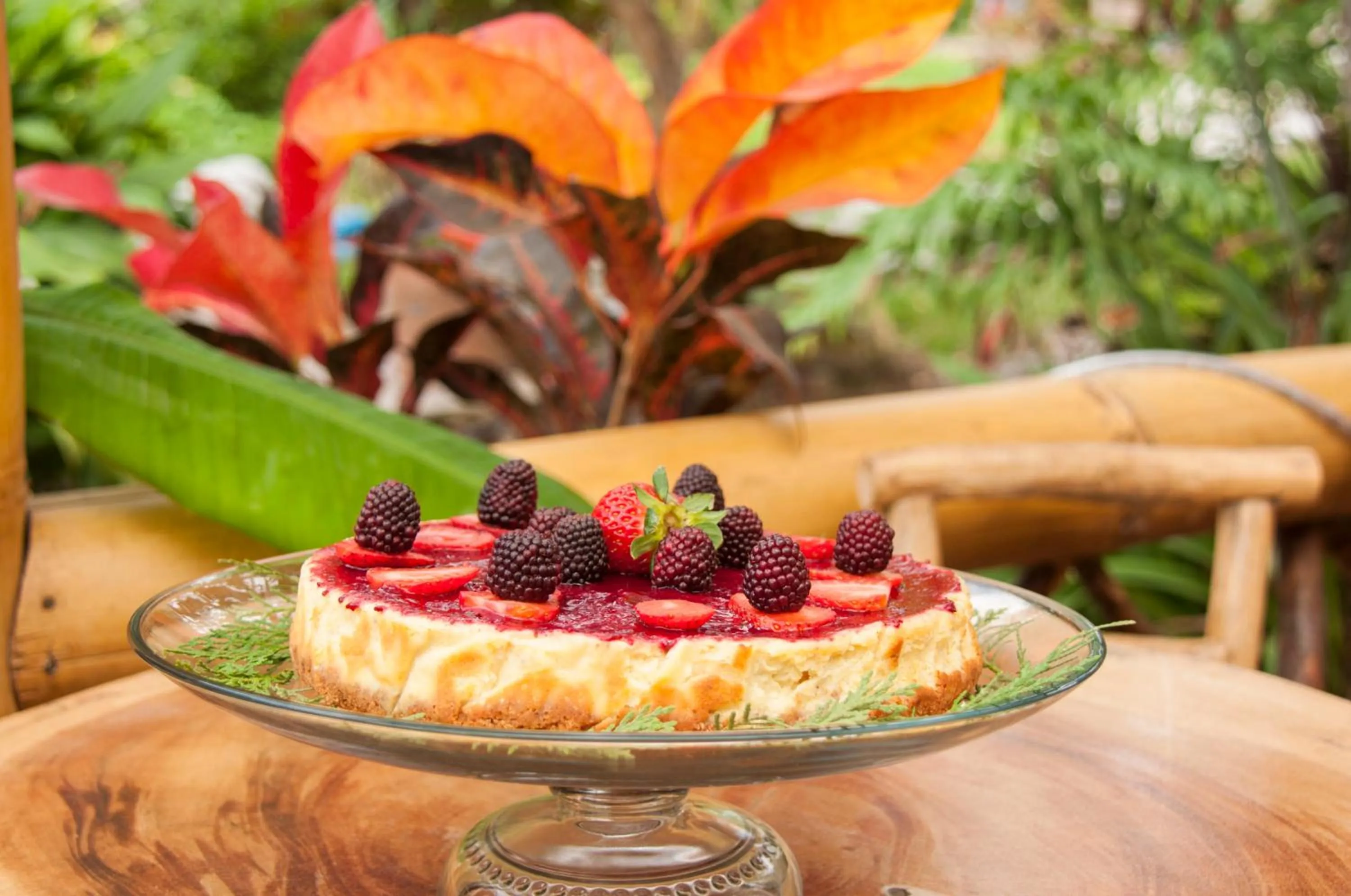 Patio in Casa de Piedra