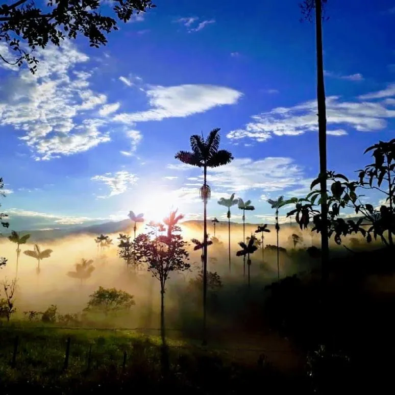 Other in Casa de Piedra