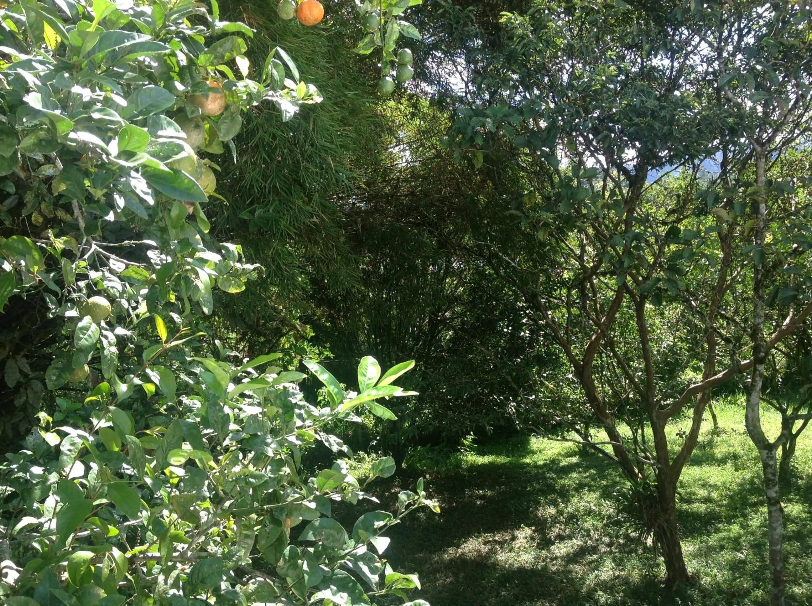 Garden in Casa de Piedra