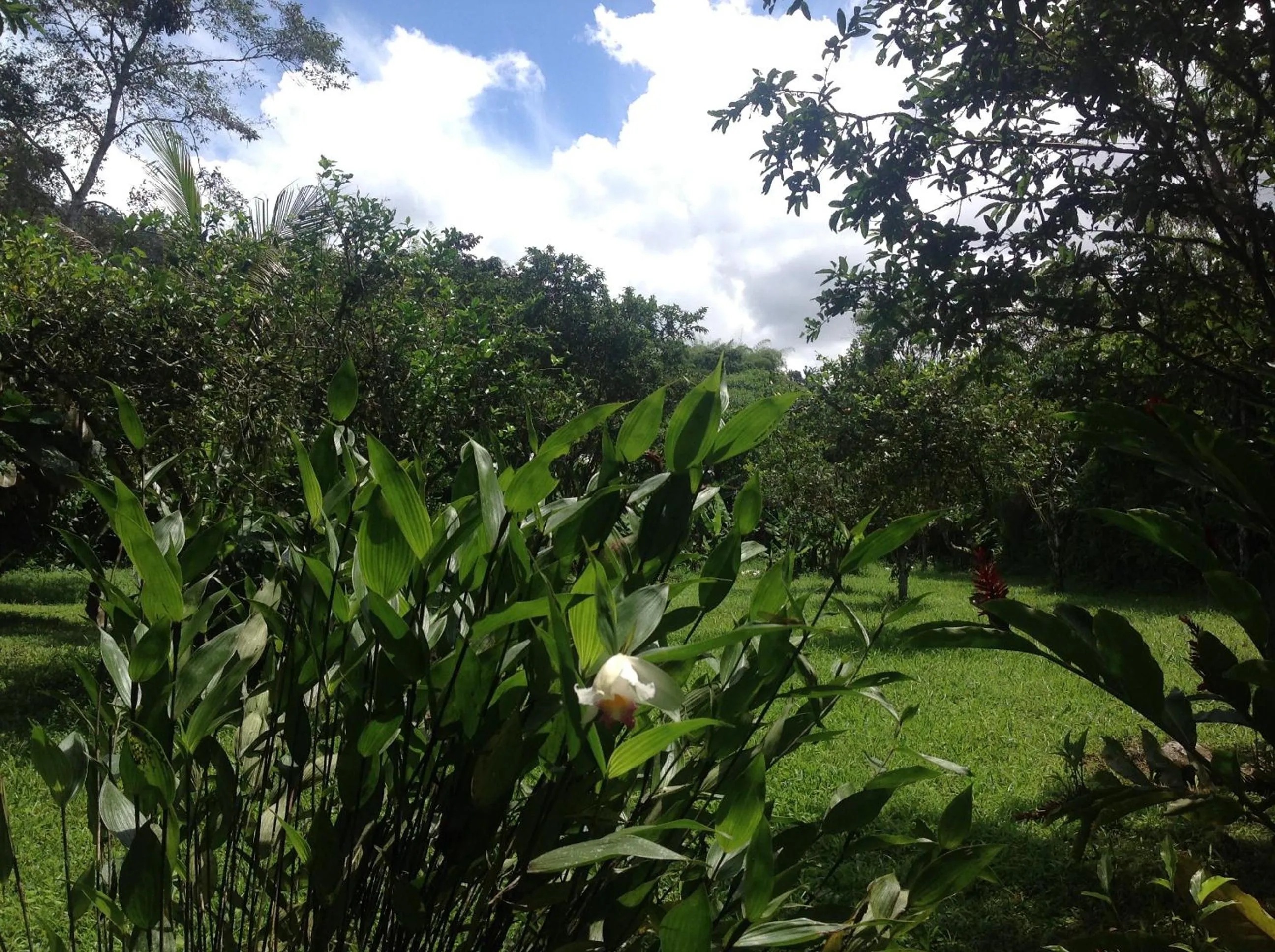 Garden in Casa de Piedra