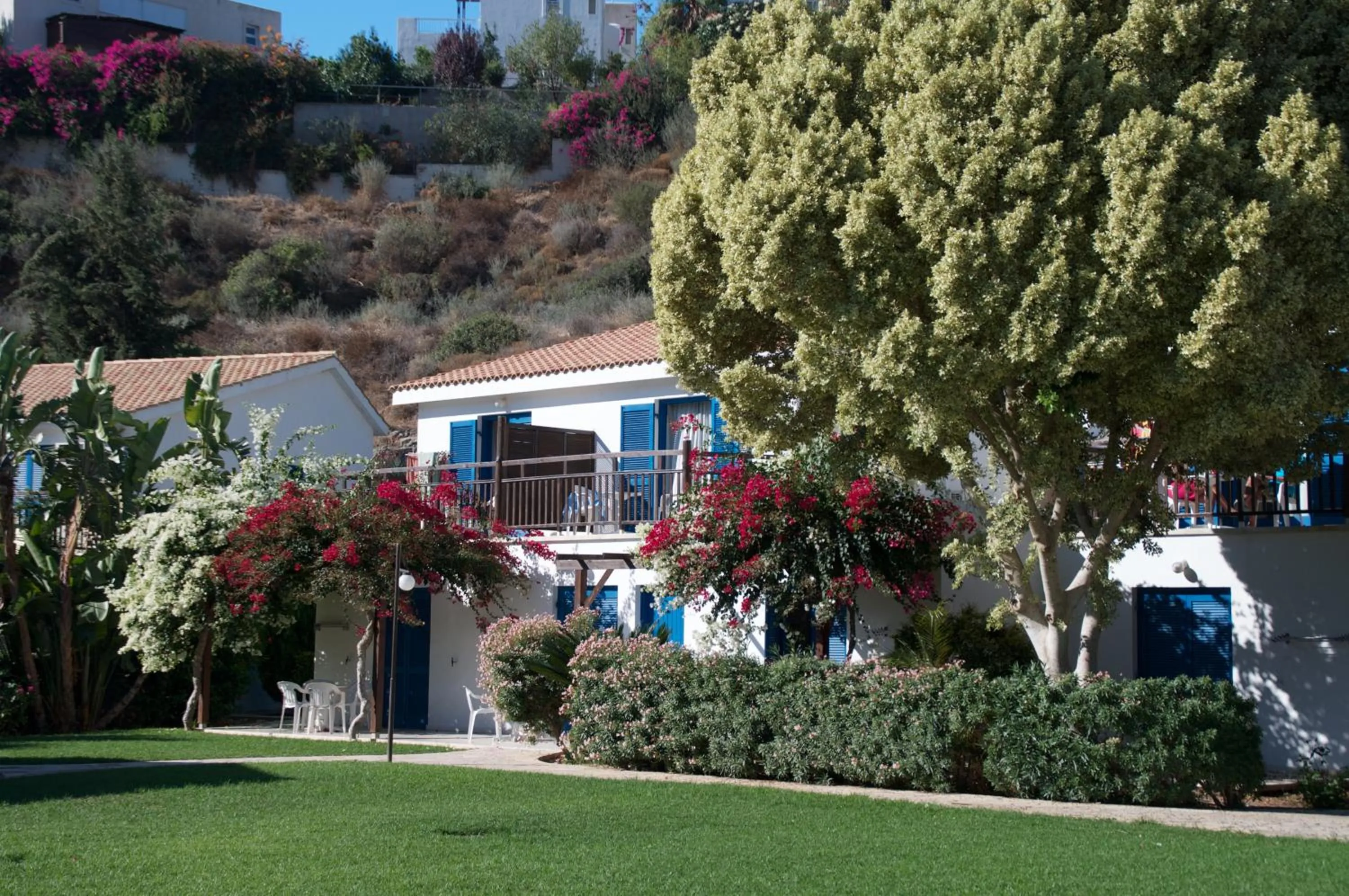 Garden in Hylatio Tourist Village