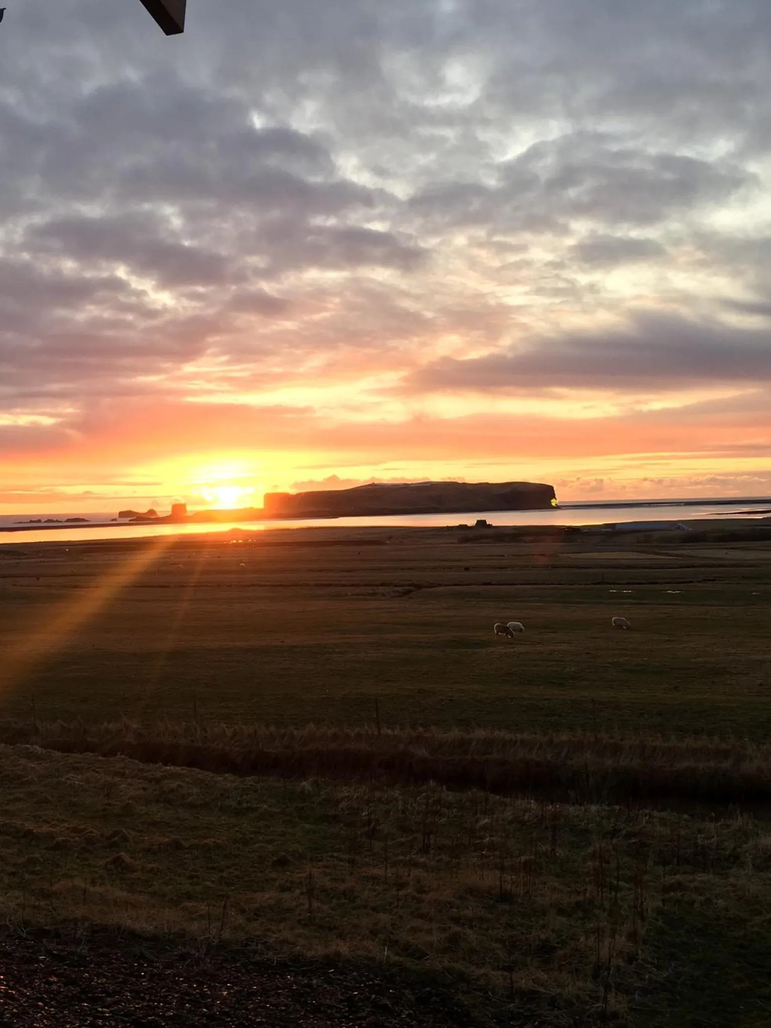 Other in Guesthouse Reynir