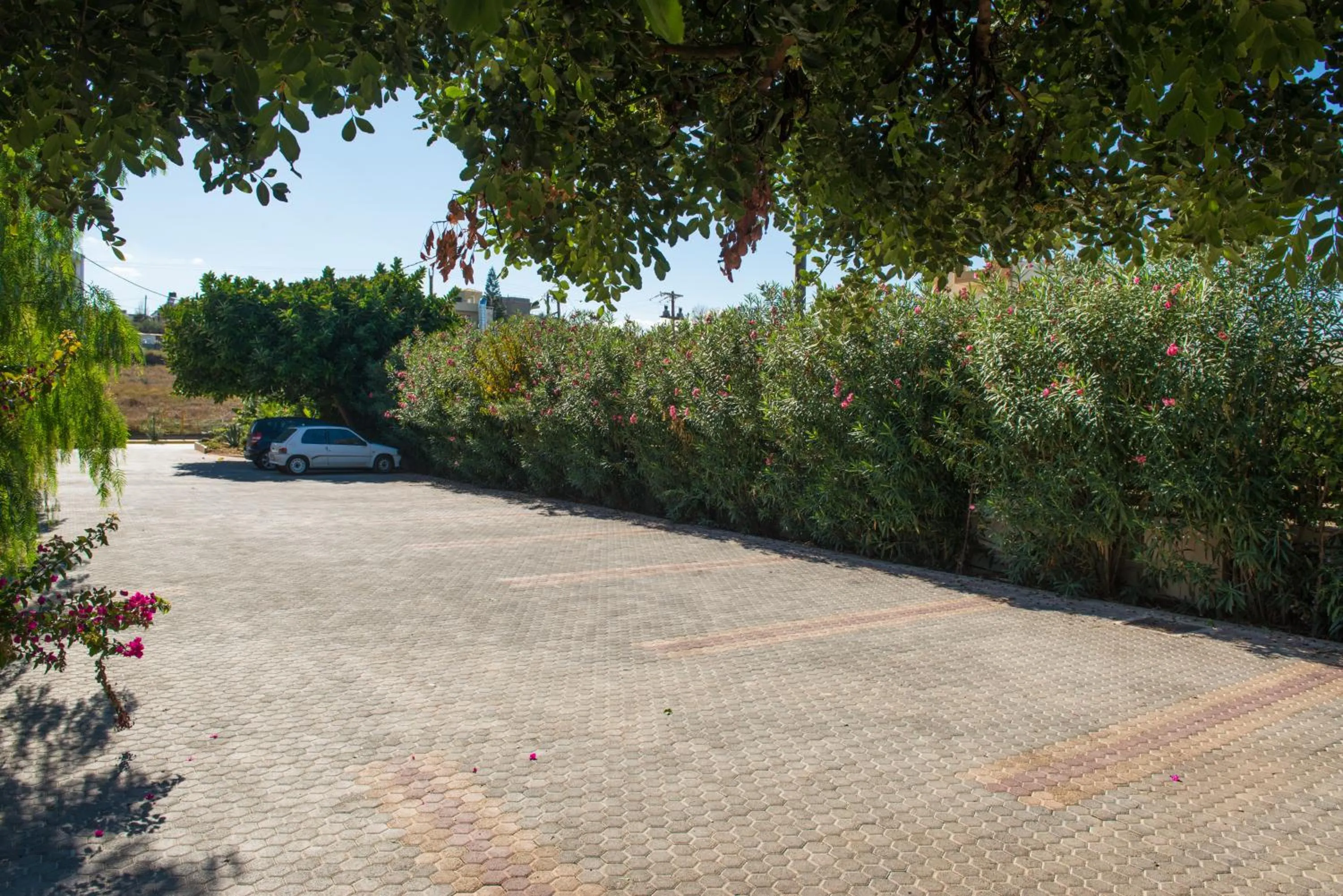 Area and facilities in Alsus Boutique Hotel - Adults Only