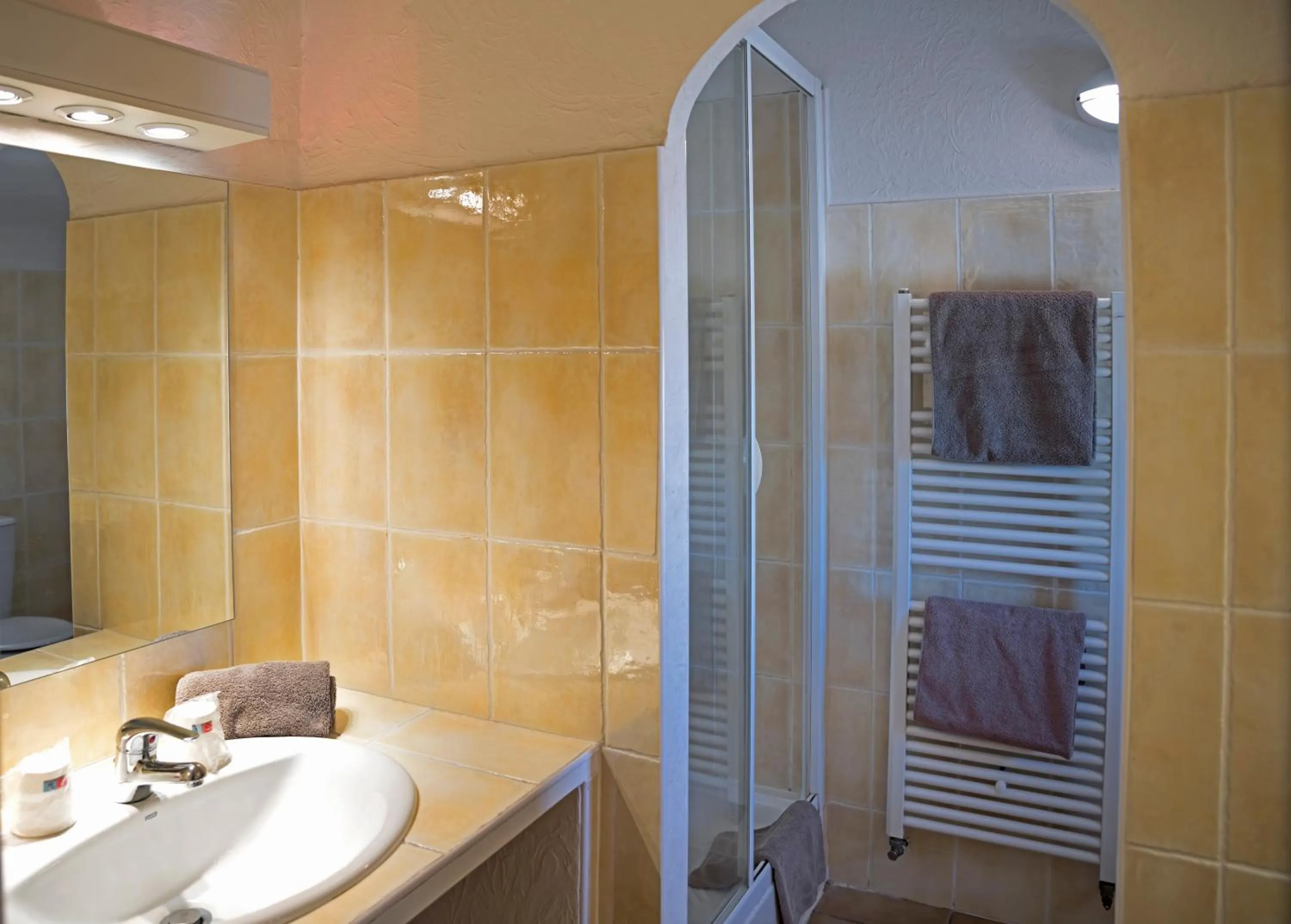 Bathroom in Hotel Toppin