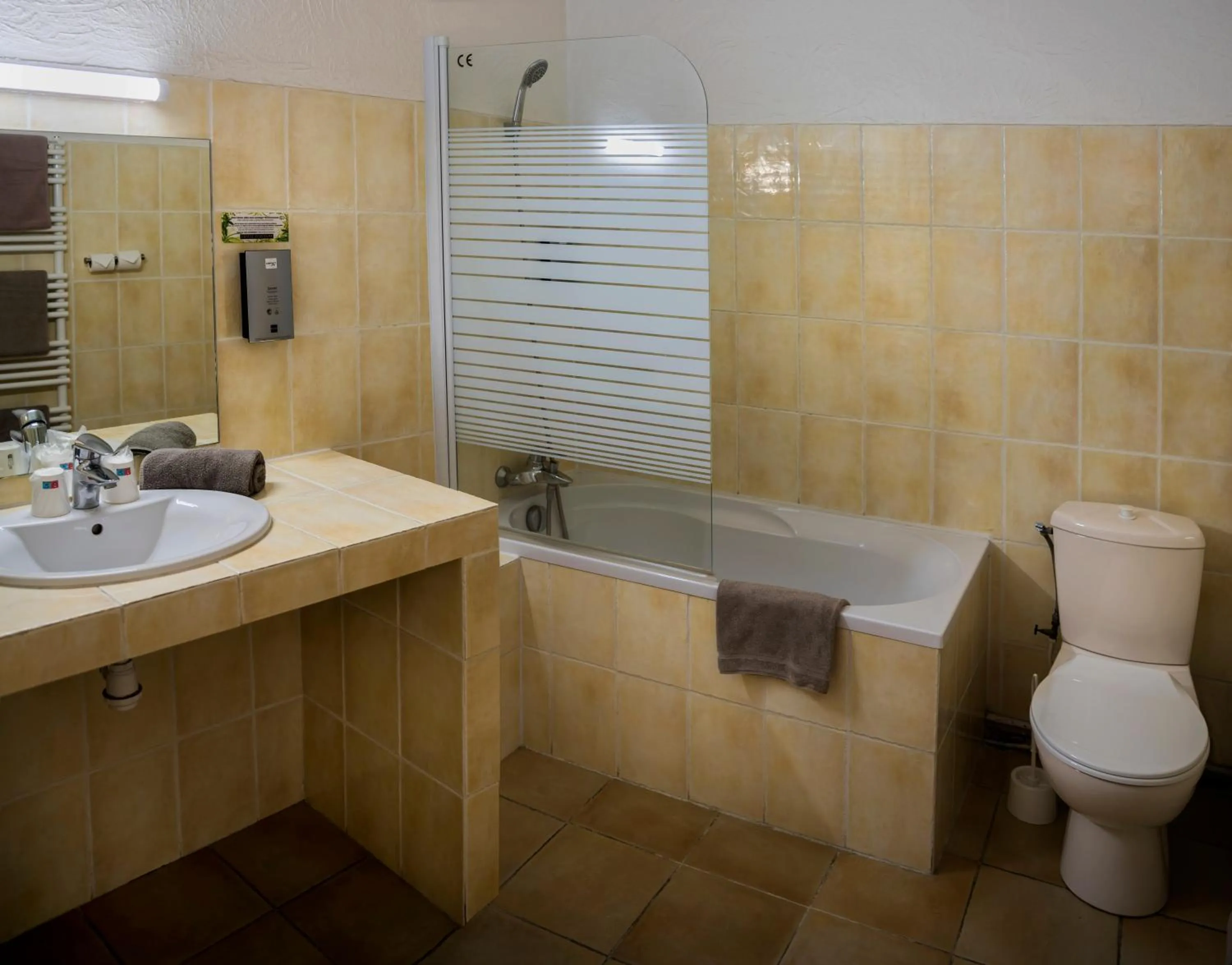 Bathroom in Hotel Toppin