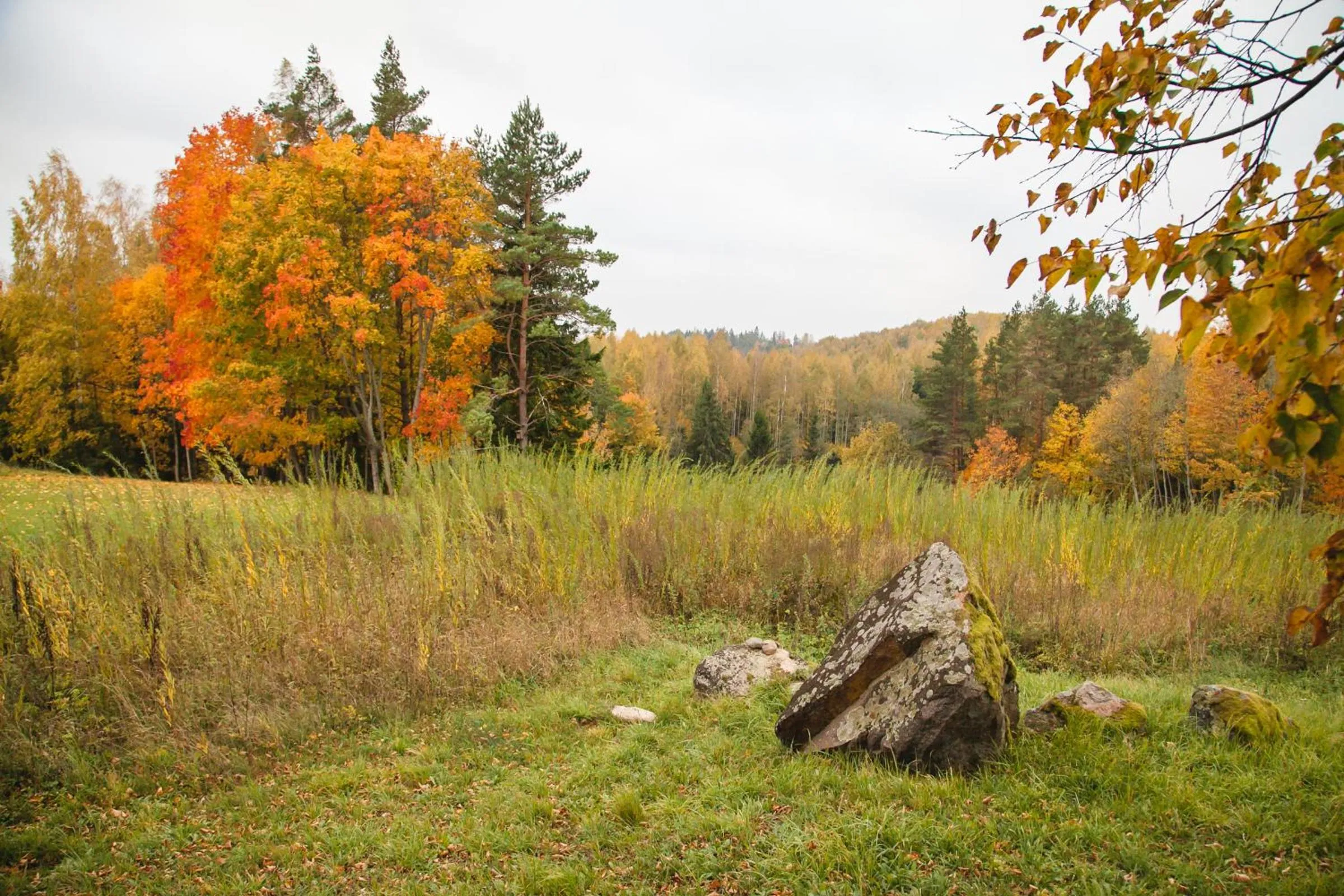 Day in Weavers' Guest House Kalndaki