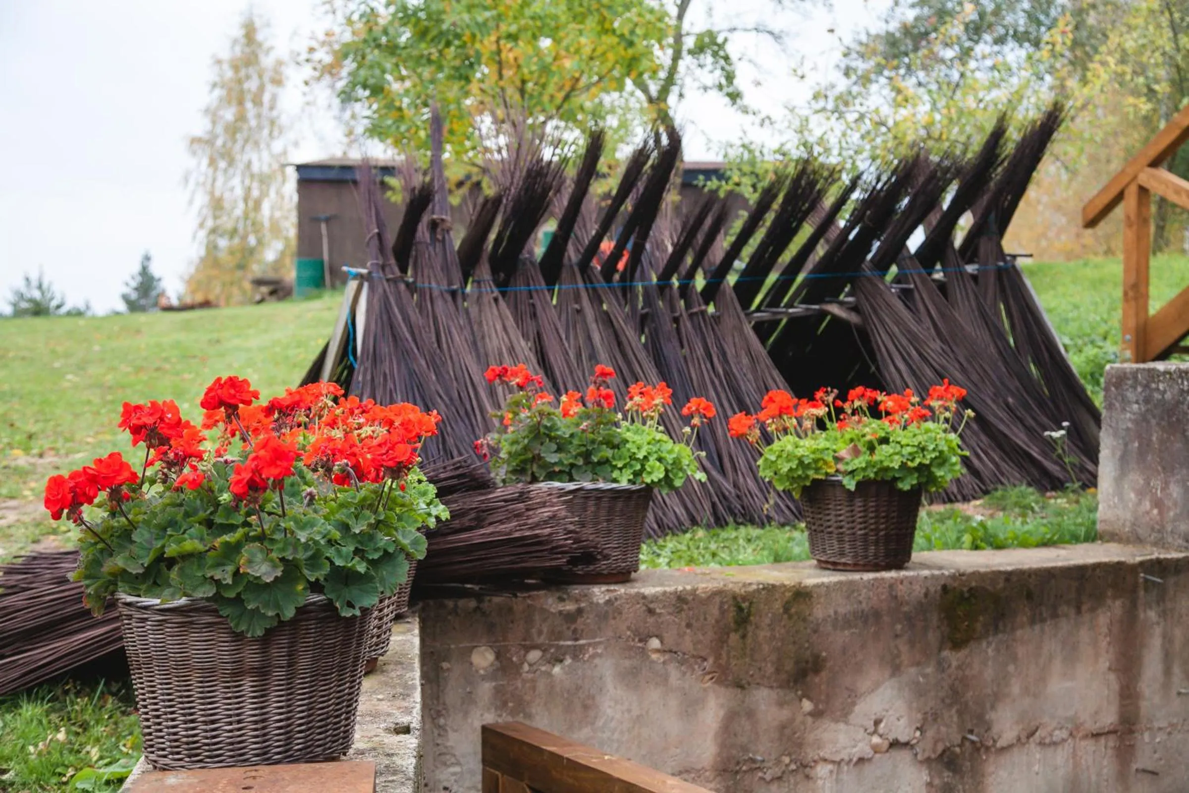 Garden in Weavers' Guest House Kalndaki