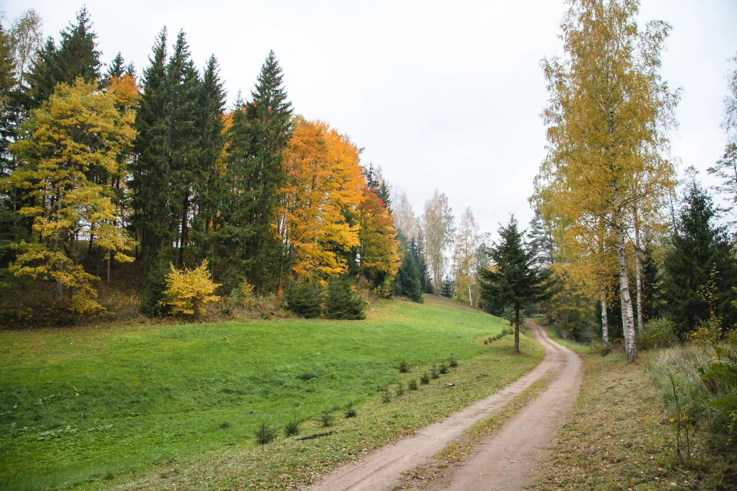 Day in Weavers' Guest House Kalndaki