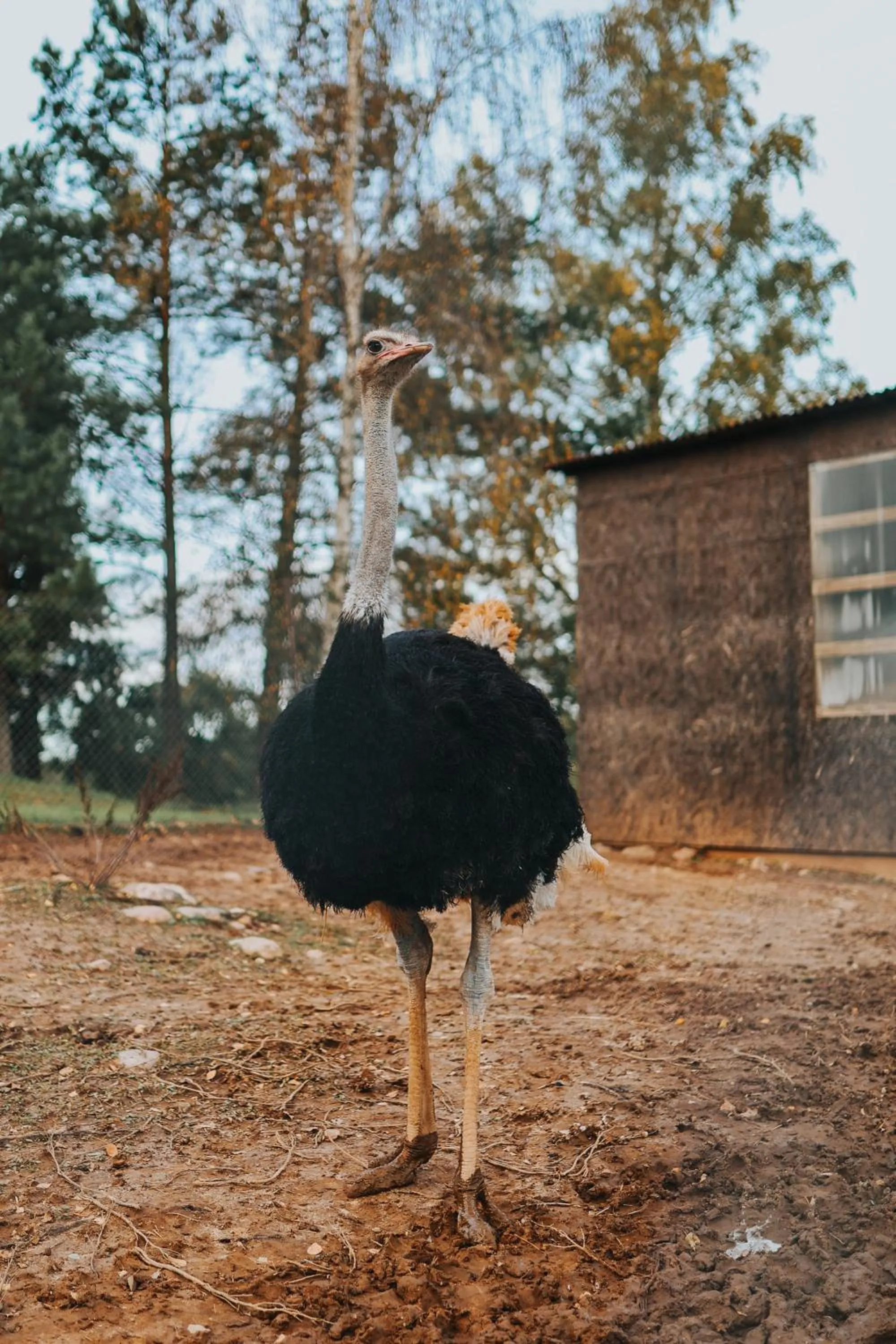 Day in Weavers' Guest House Kalndaki