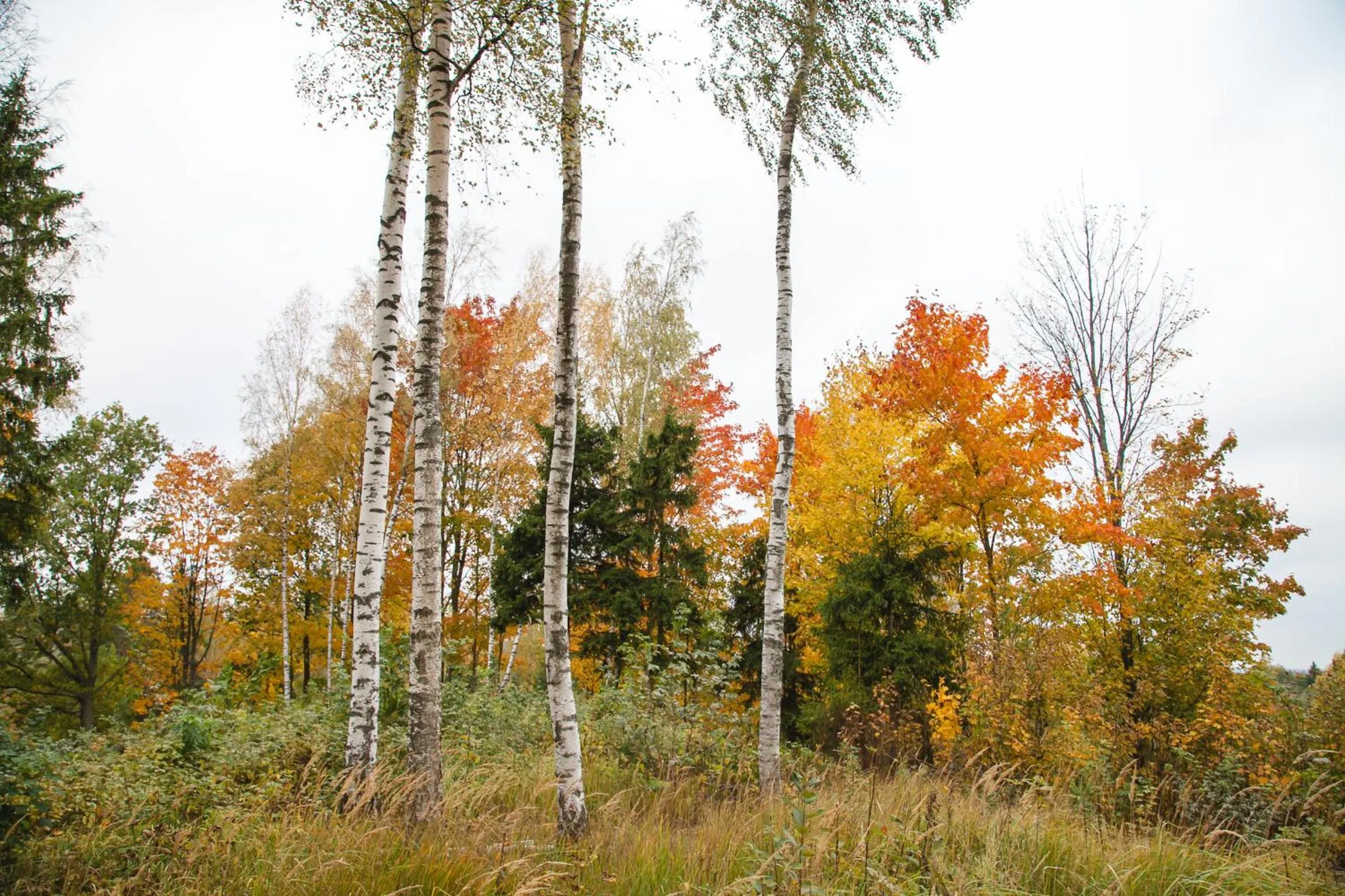 Day in Weavers' Guest House Kalndaki