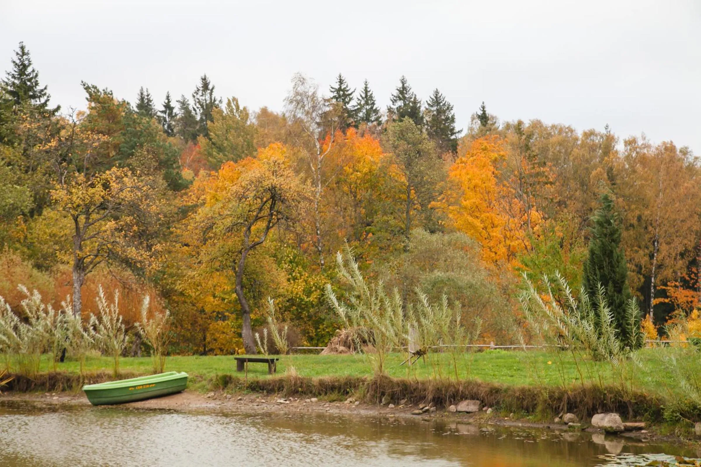 Natural landscape in Weavers' Guest House Kalndaki