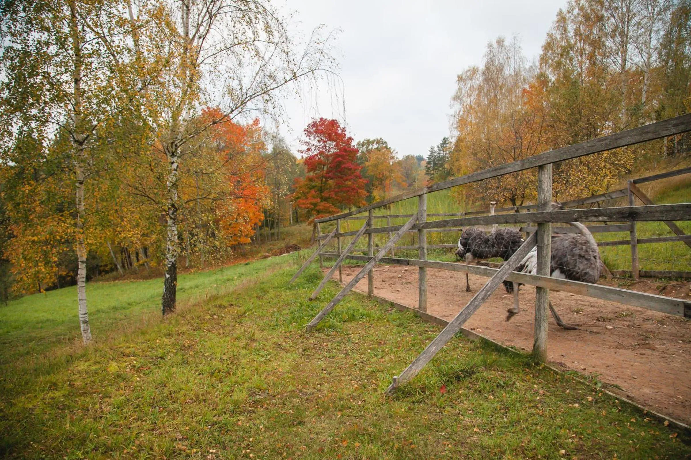 Day in Weavers' Guest House Kalndaki