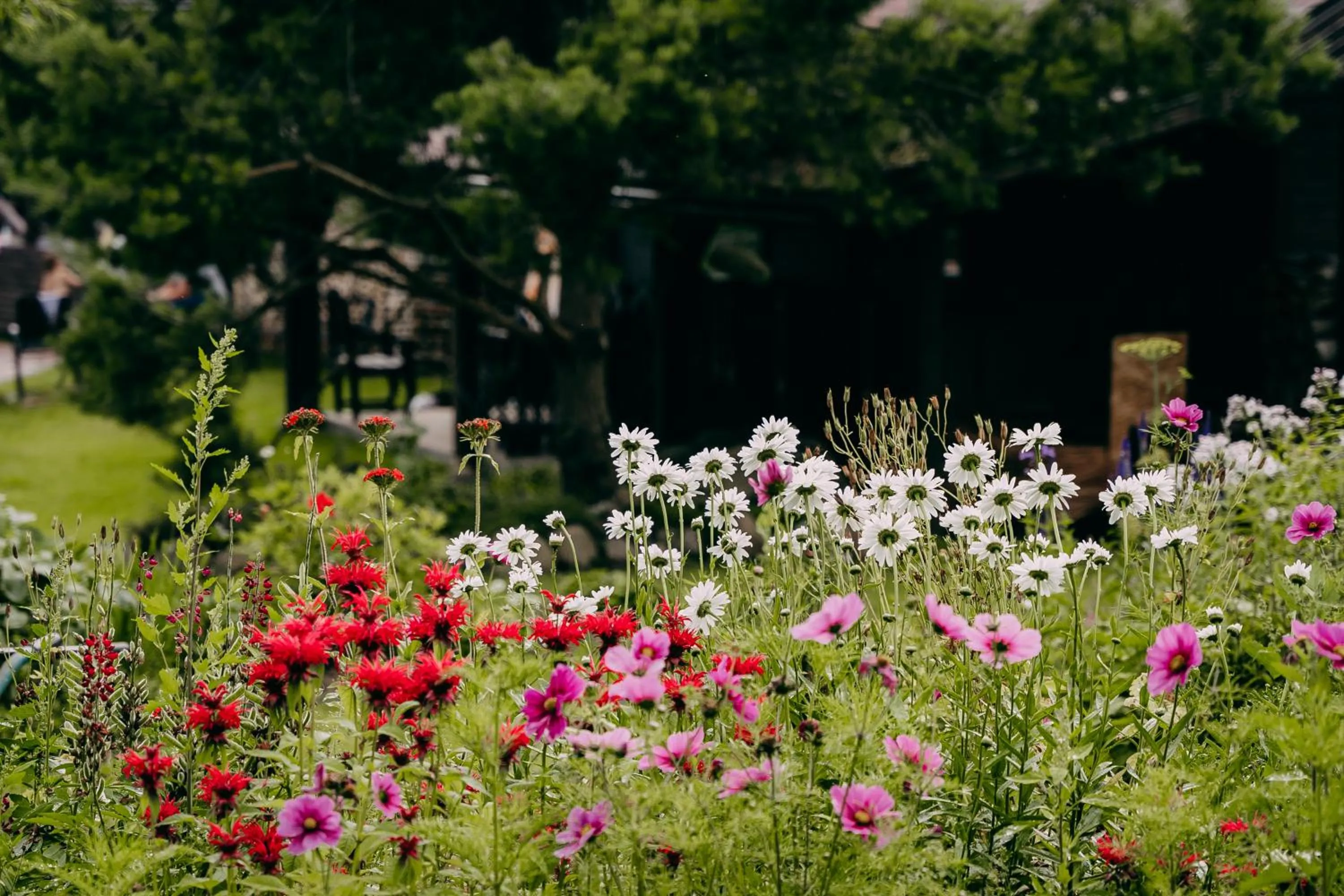 Neighbourhood in Weavers' Guest House Kalndaki