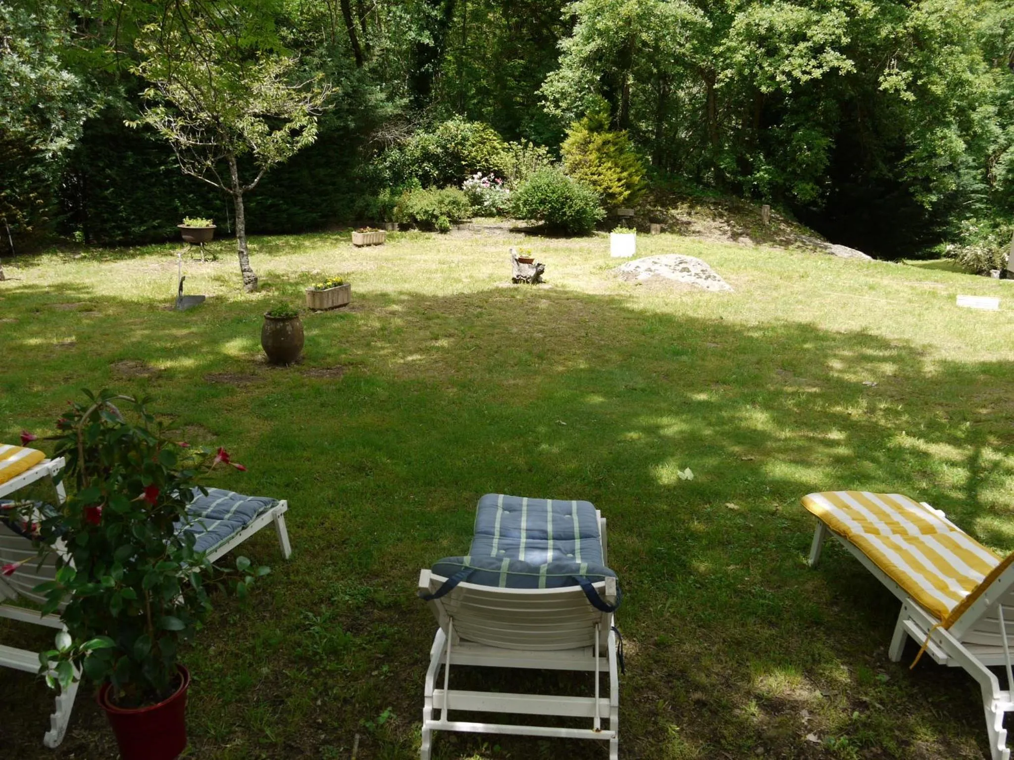 Garden in Hôtel Le Castelet