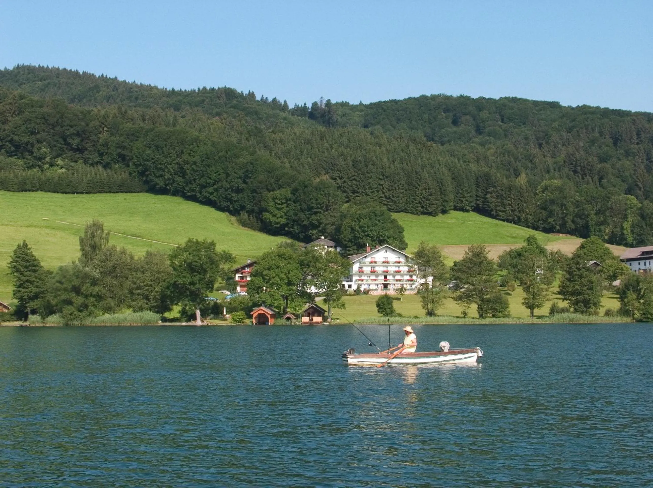Natural landscape in Hotel Garni Dorferwirt am Irrsee