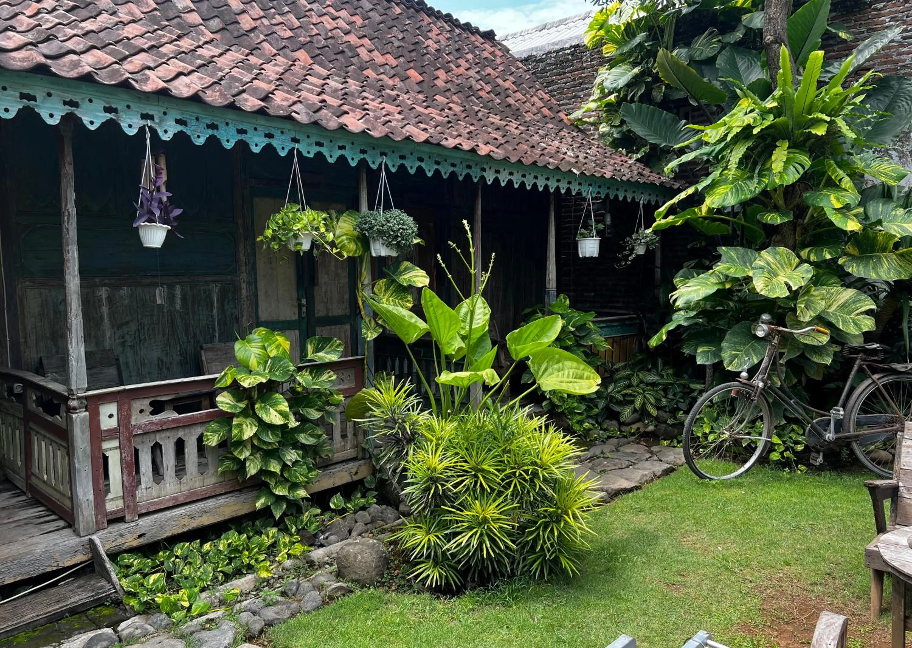 Happy House Bromo backpacker