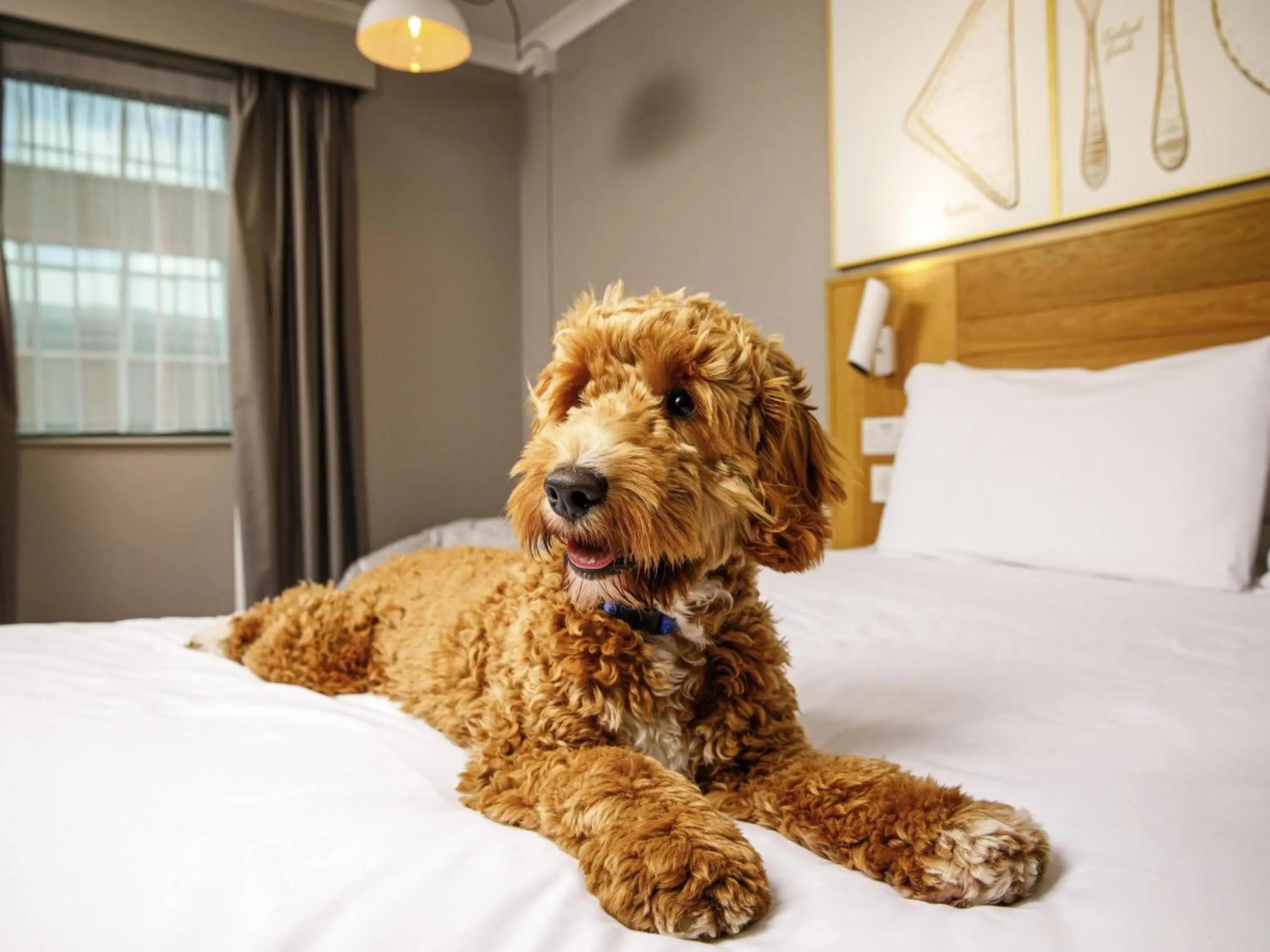 Bed in ibis Styles Birmingham Centre Bed in ibis Styles Birmingham Centre