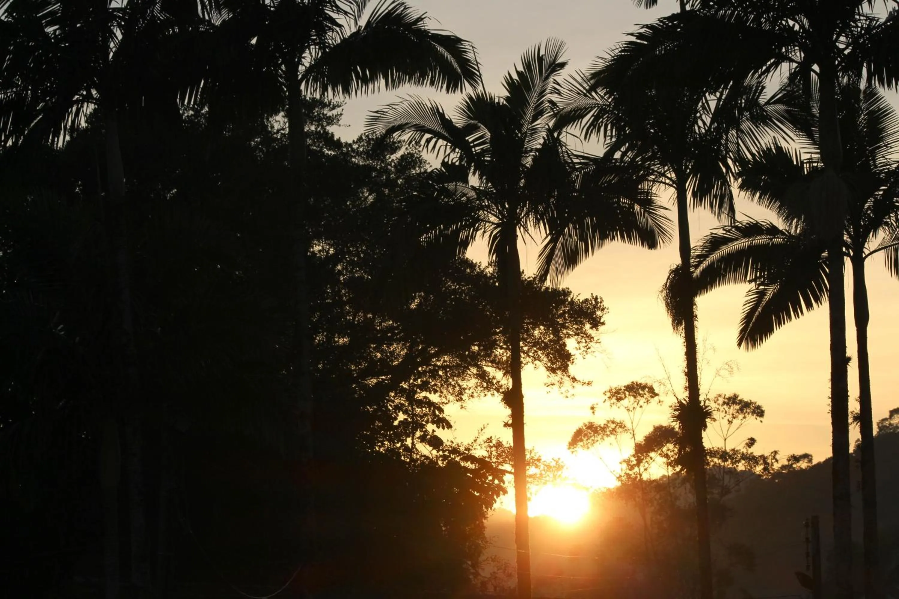 Garden in Hotel Fazenda Casarão do Vale