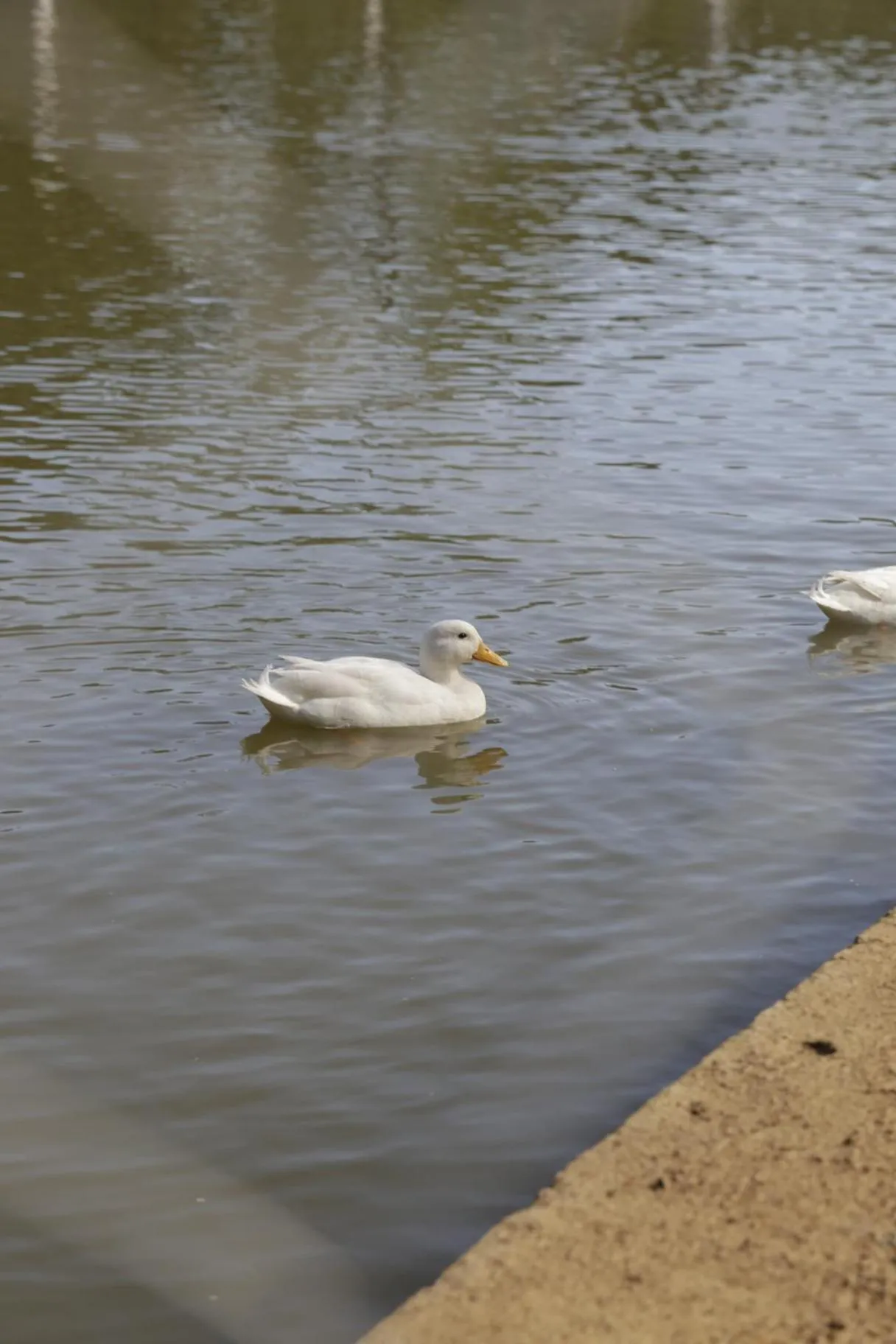 Property building in Hotel Fazenda Casarão do Vale