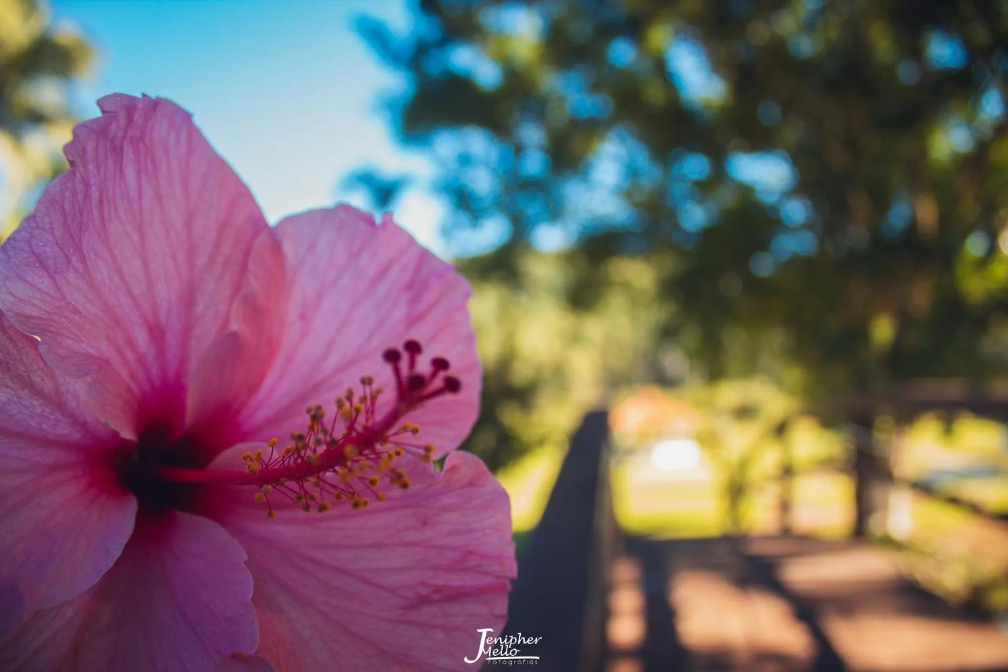 Garden in Hotel Fazenda Casarão do Vale