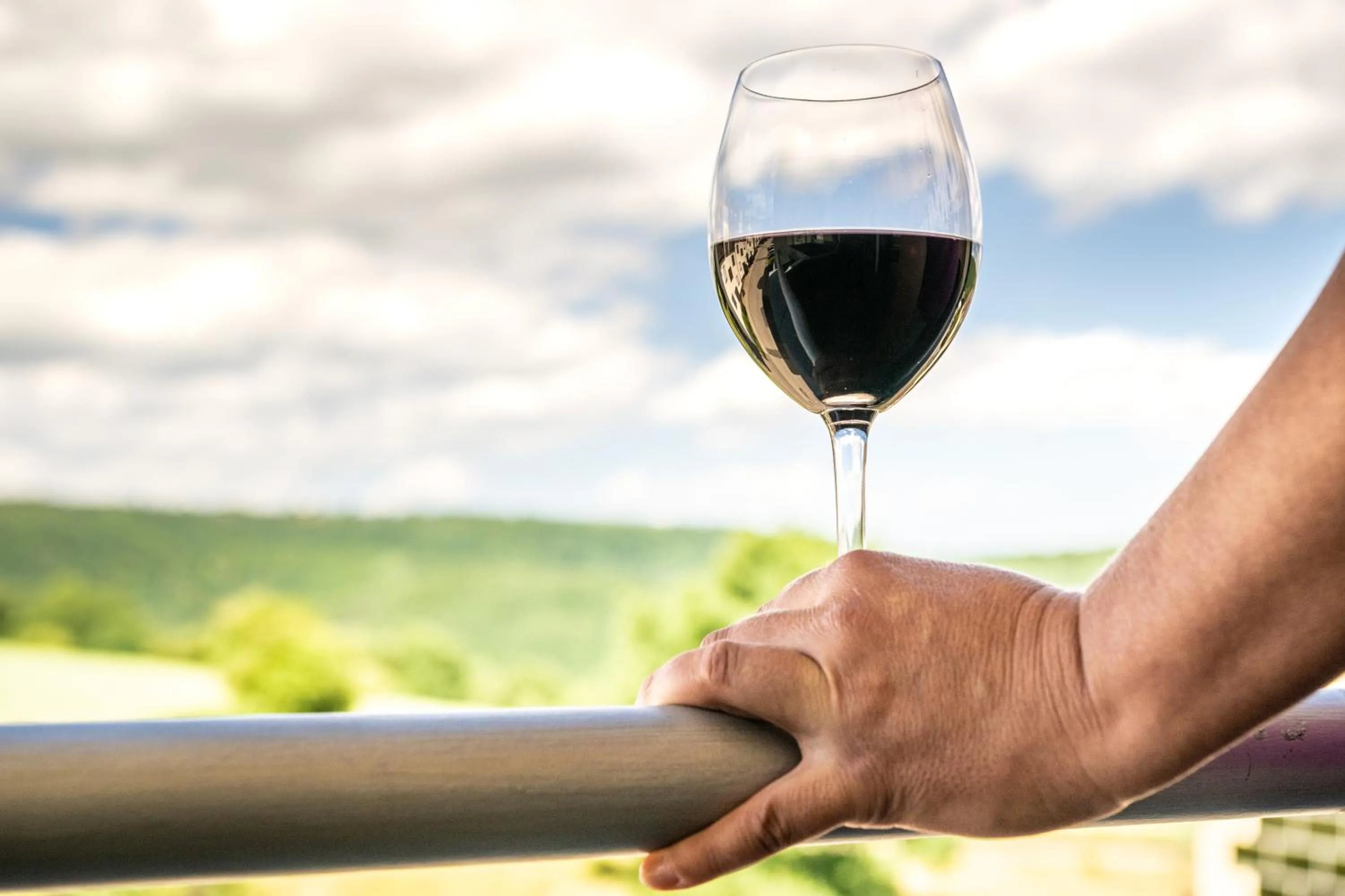 View (from property/room) in Gemünder Ferienpark Salzberg