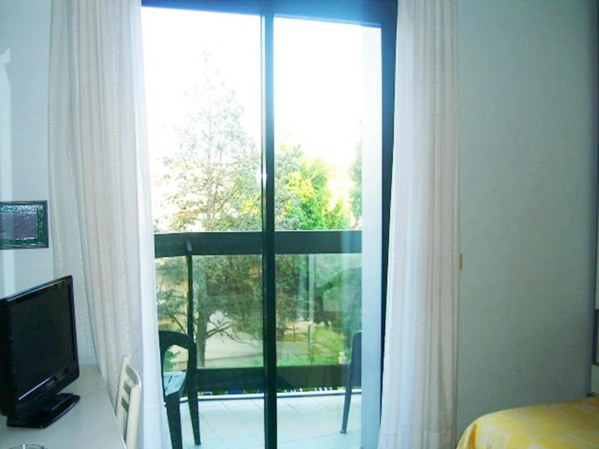 Summer in New Tiffany's Park