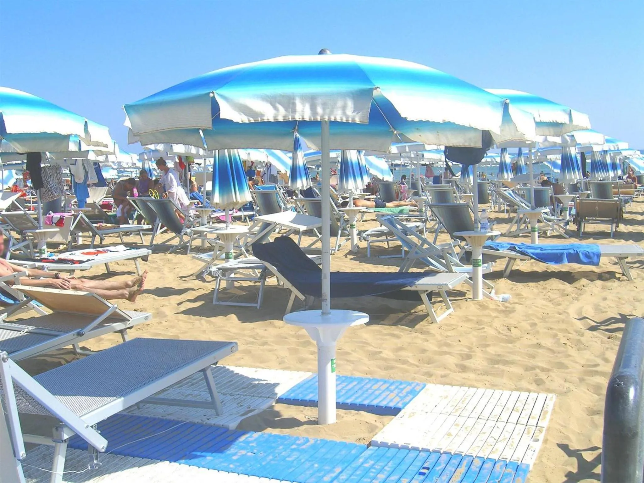 Activities in New Tiffany's Park