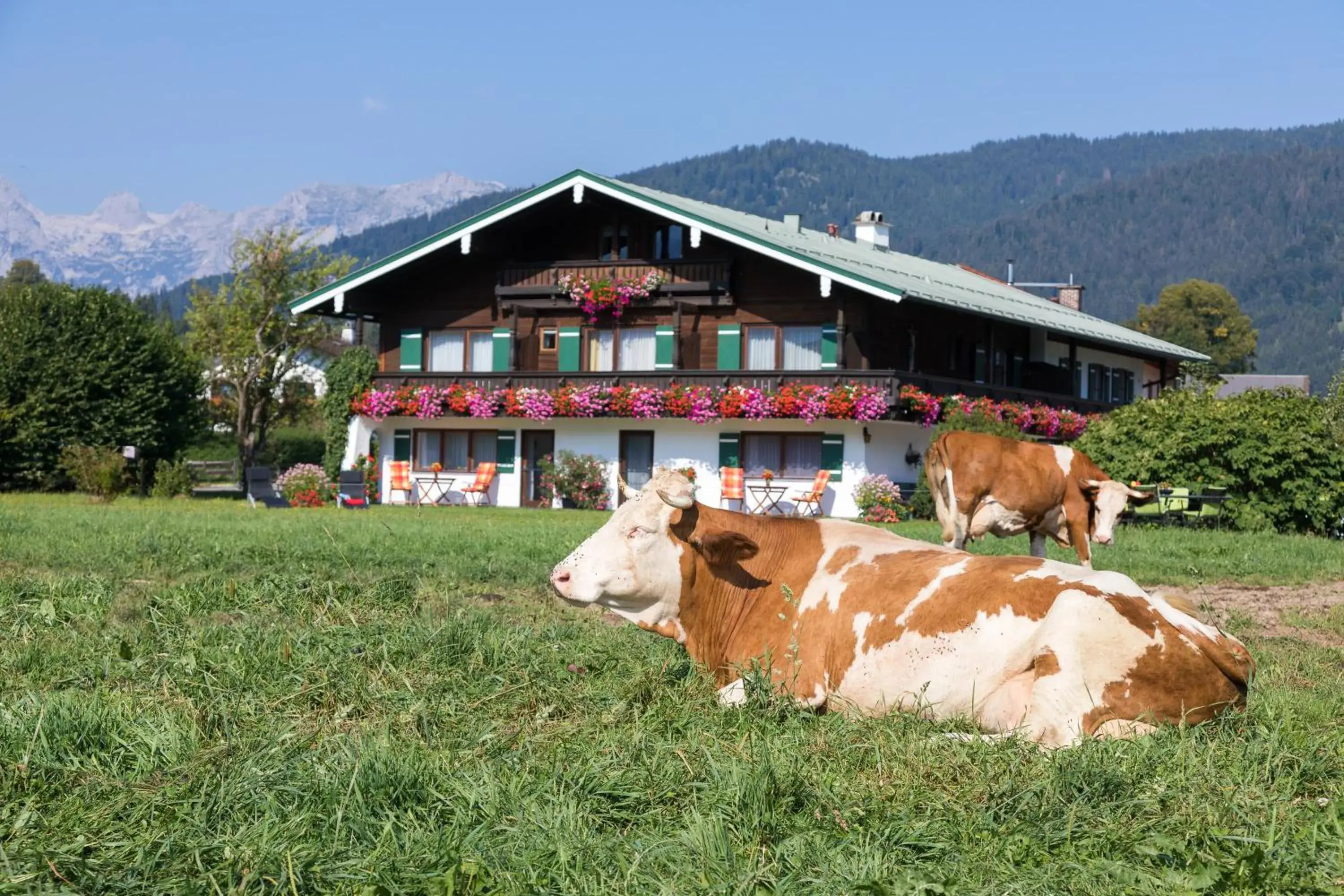 Ferienwohnung Drachllehen Ferienwohnung Drachllehen