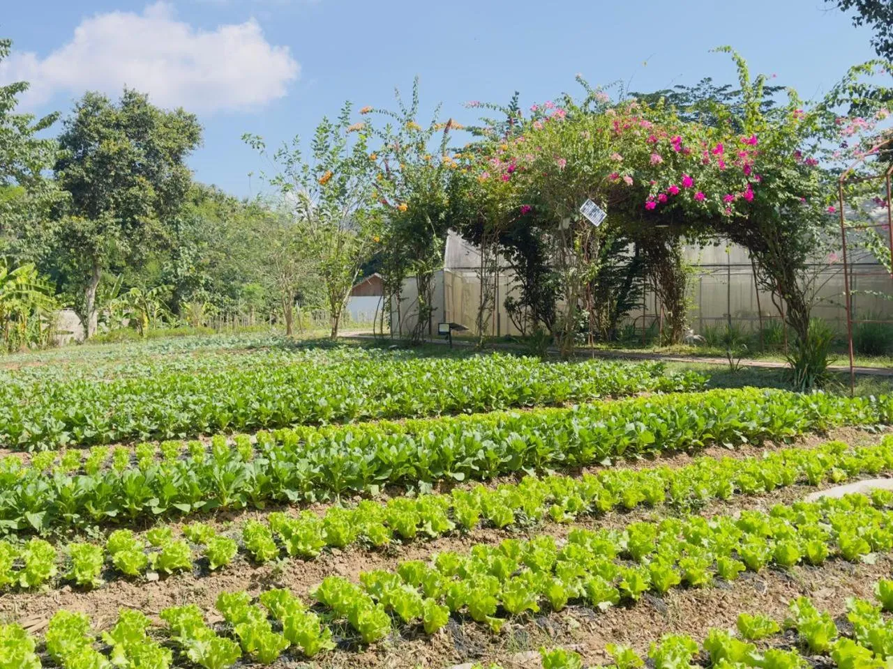 Garden in The Namkhan, a Small Luxury Hotel of the World