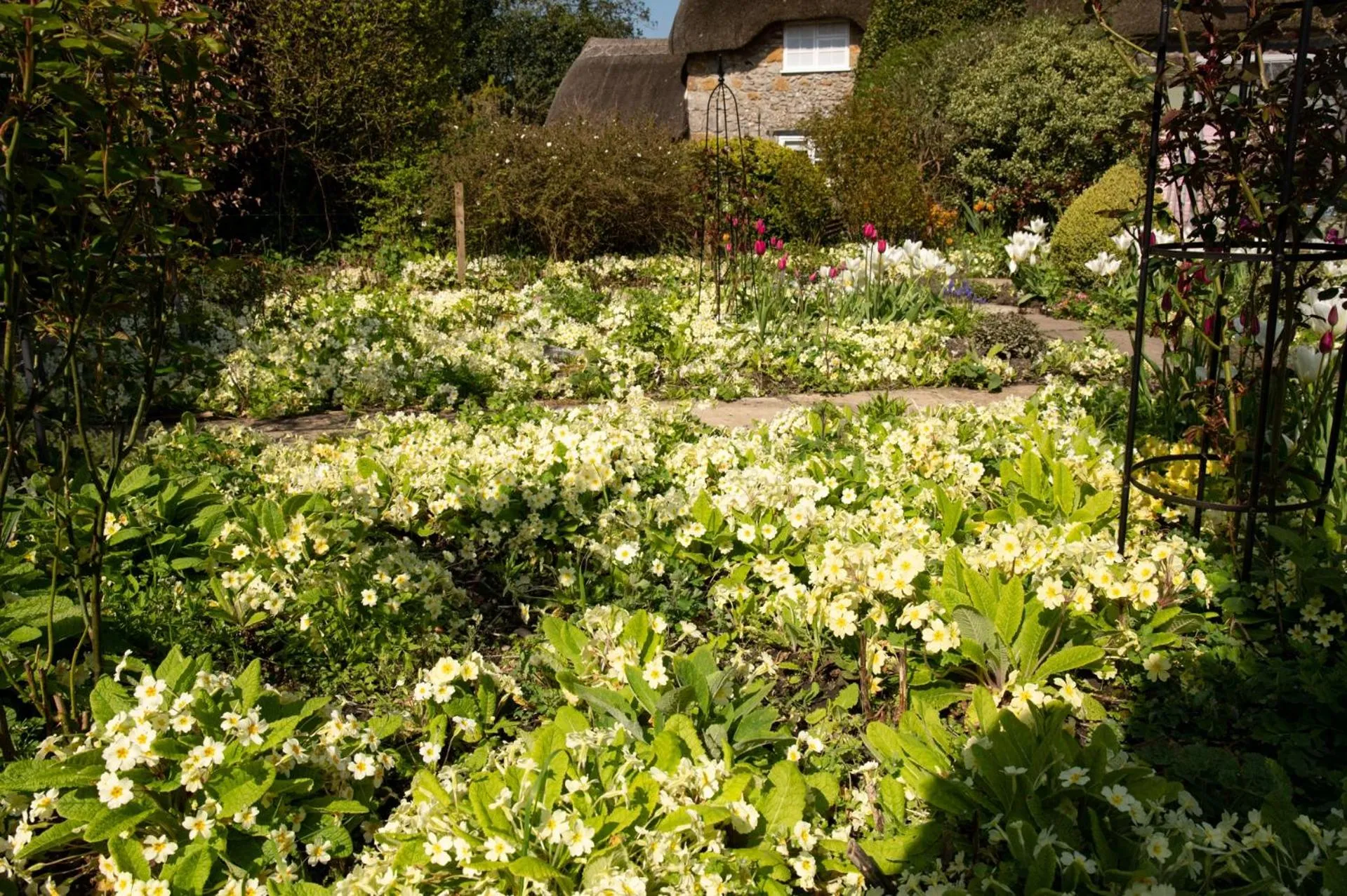 Garden in Corner House