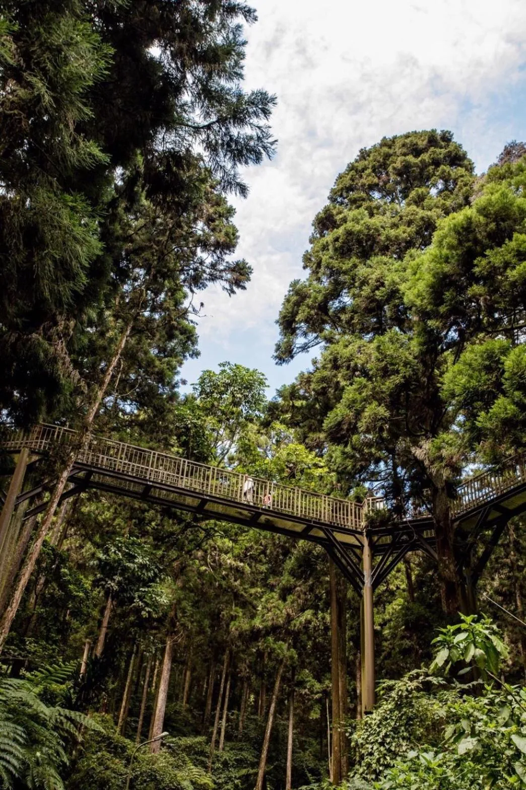 Natural landscape in Howard Resort Xitou