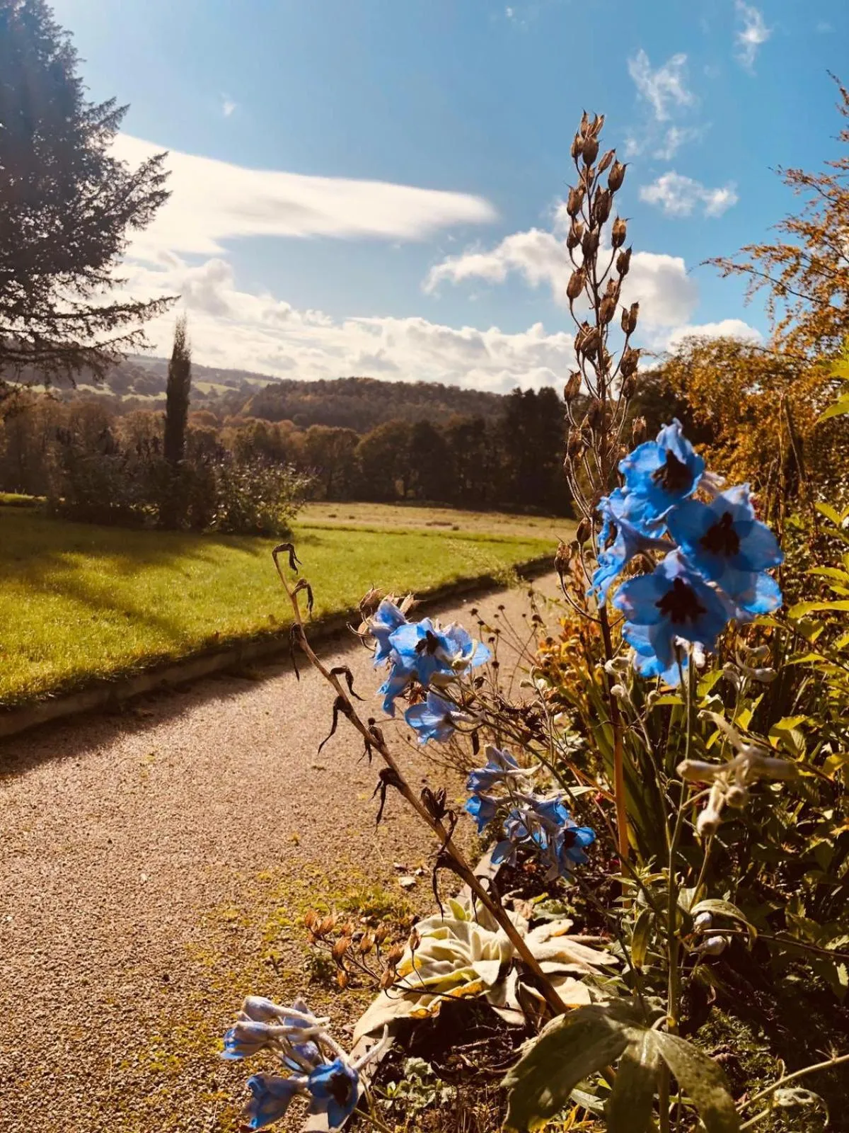 Garden in Florence Nightingale Suites at Lea Hurst
