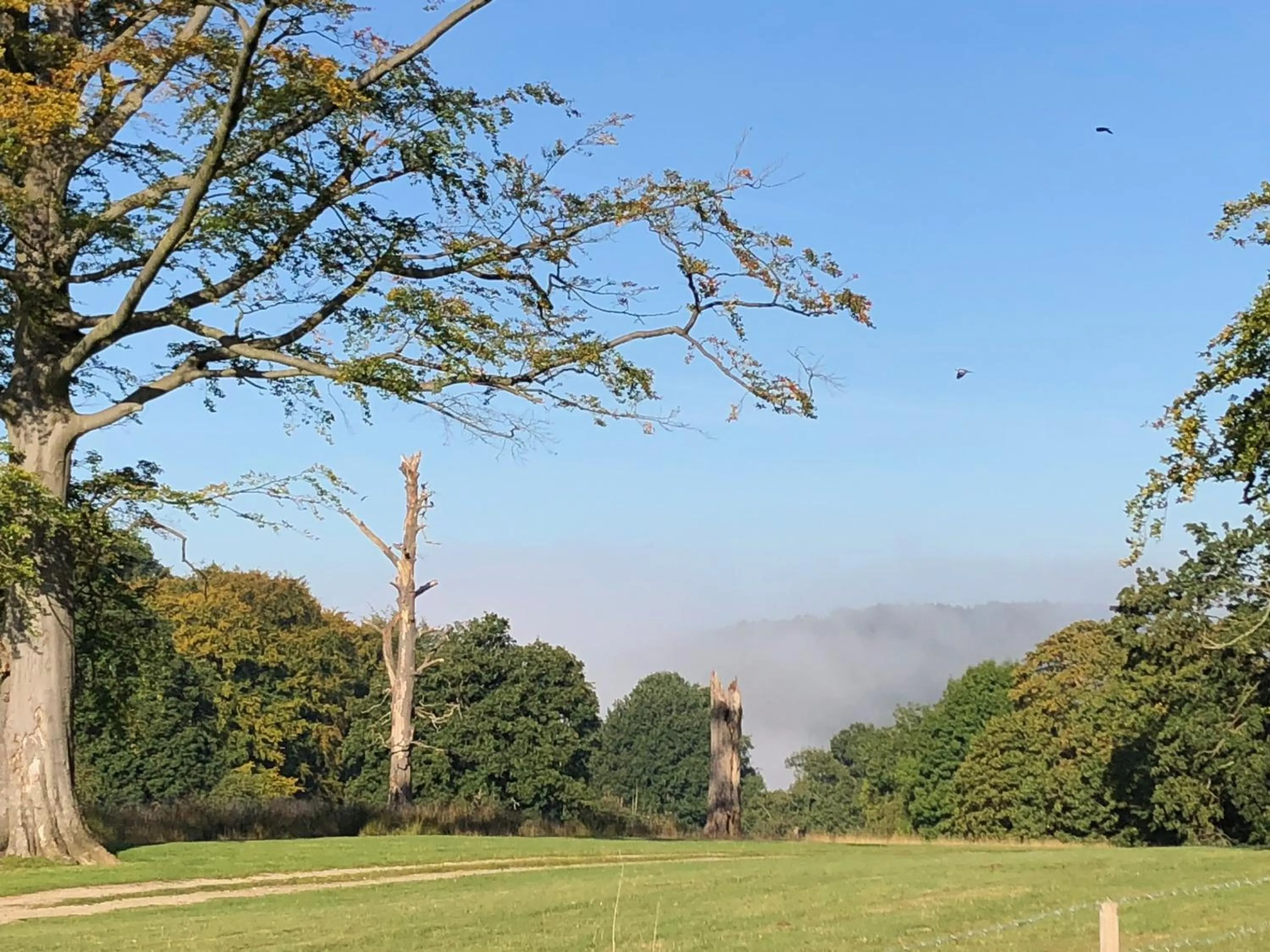 View (from property/room) in Florence Nightingale Suites at Lea Hurst